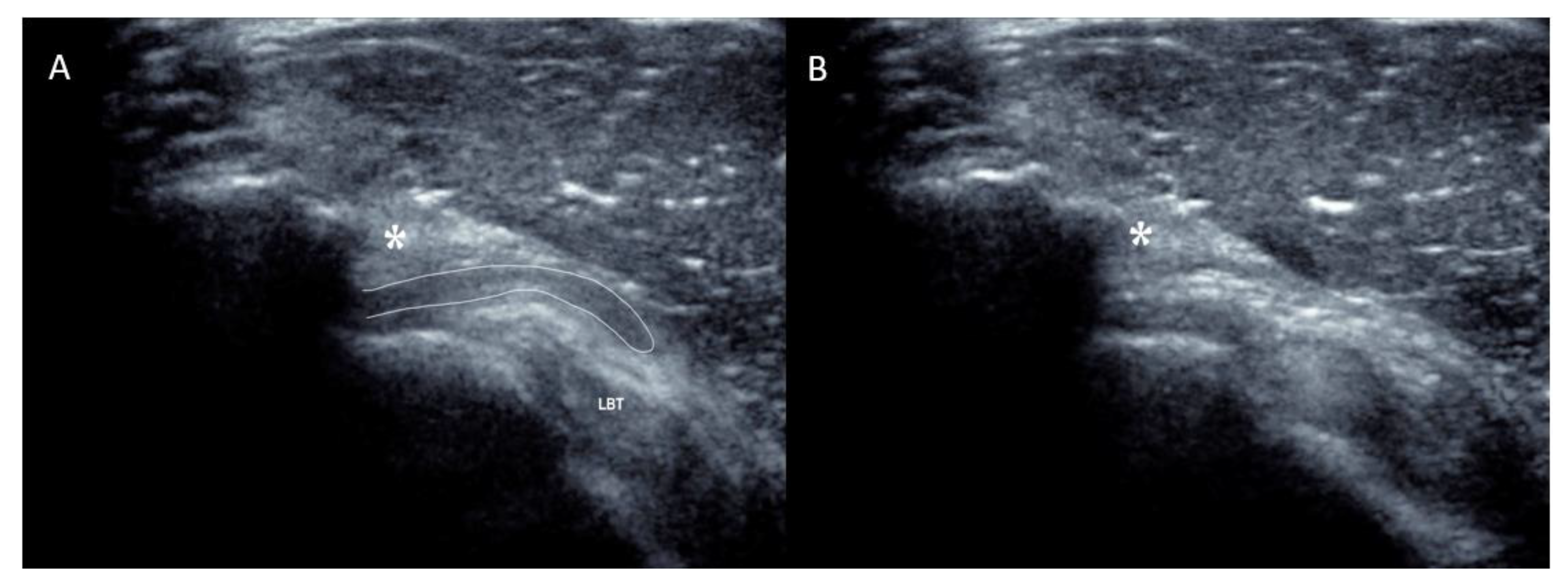 Biomedicines 13 00766 g004