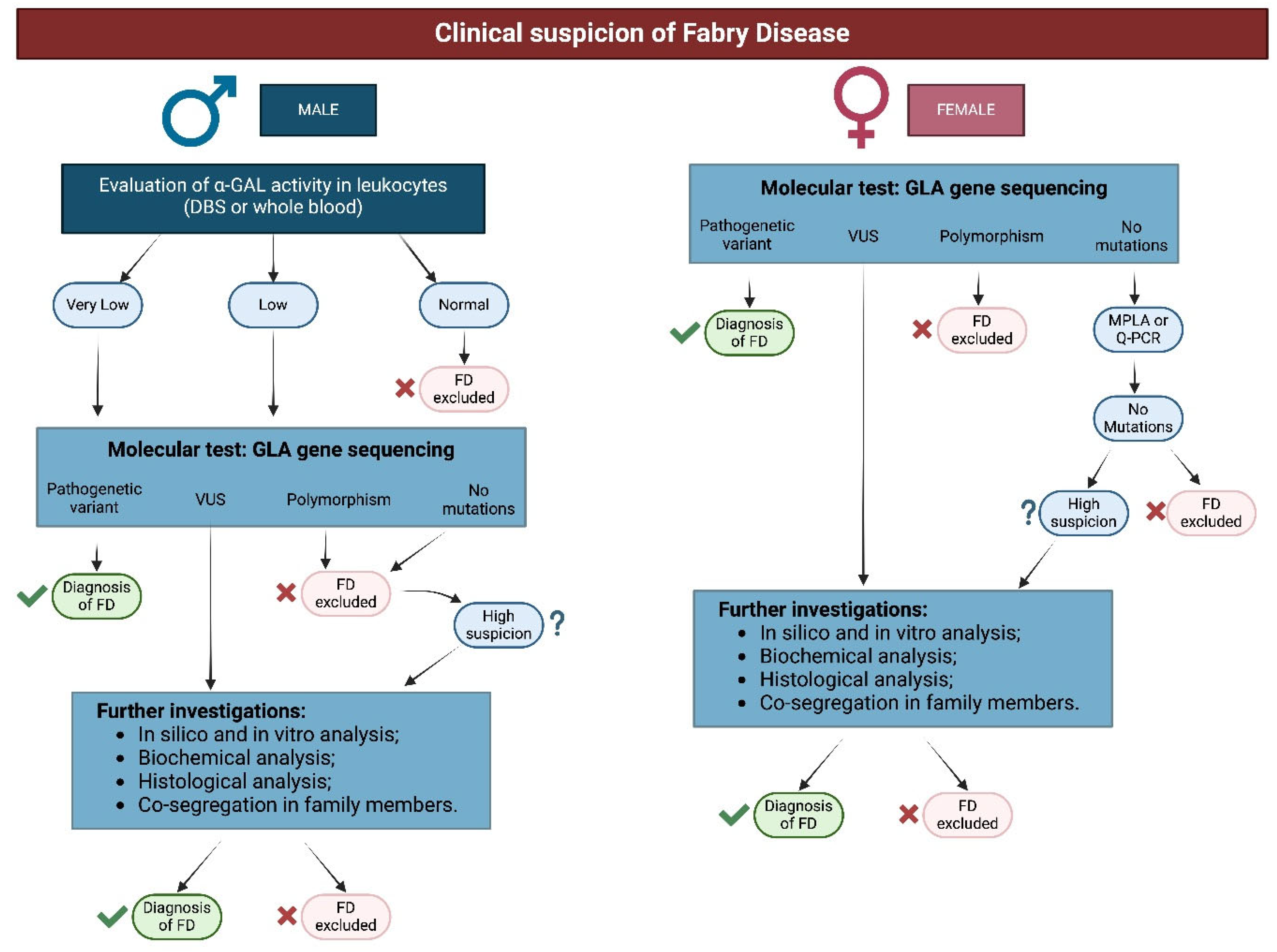 Biomedicines 13 00767 g001