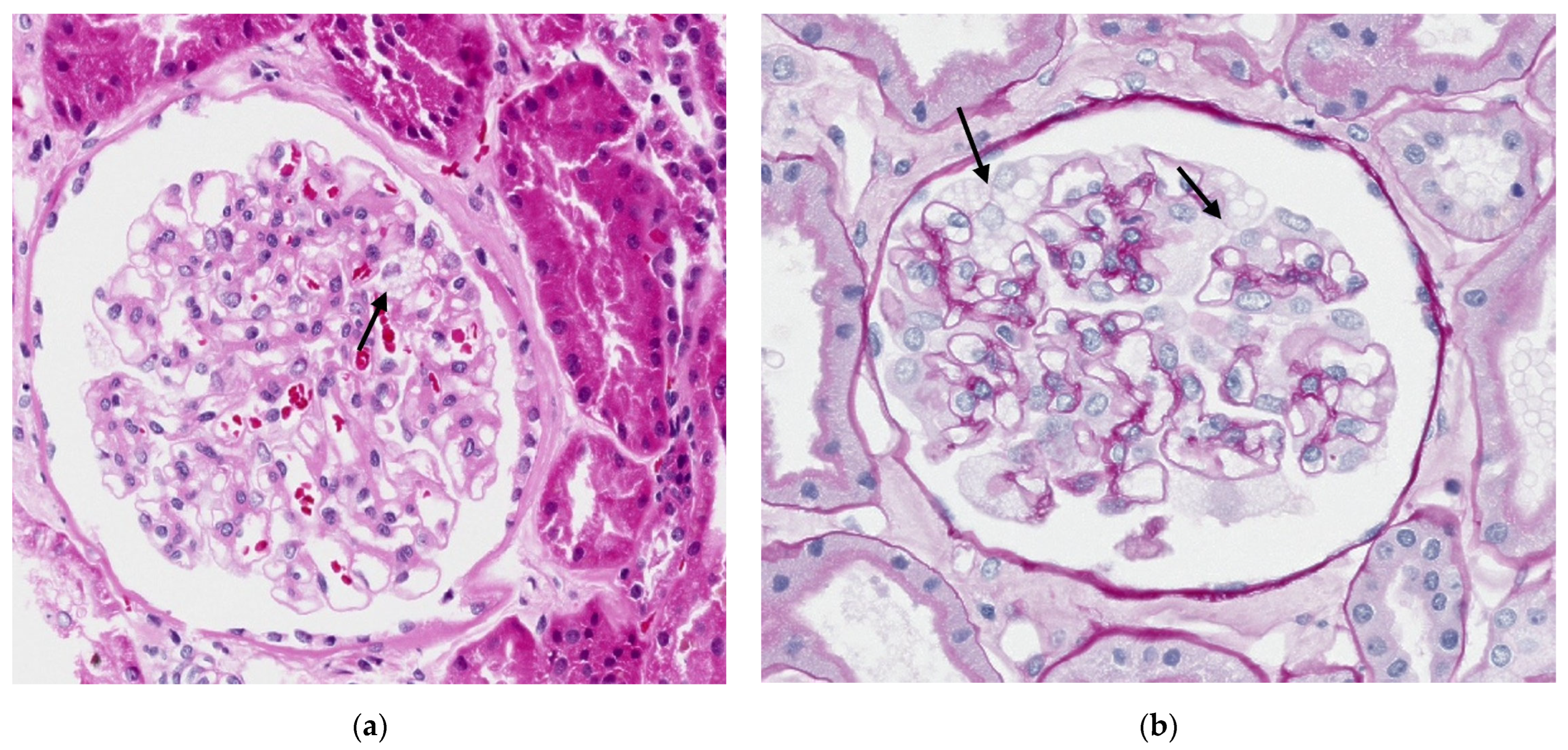 Biomedicines 13 00767 g002
