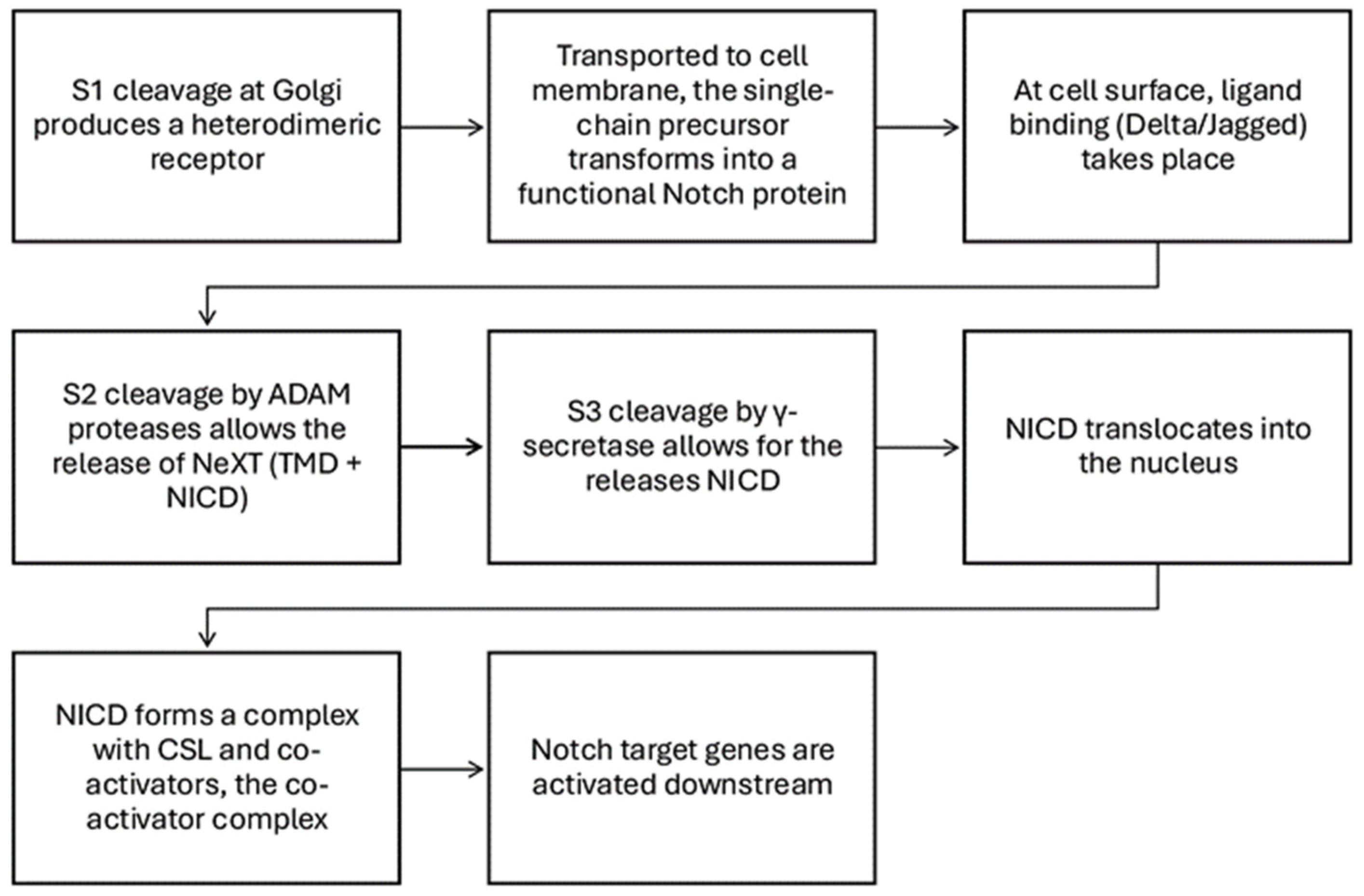 Biomedicines 13 00768 g003