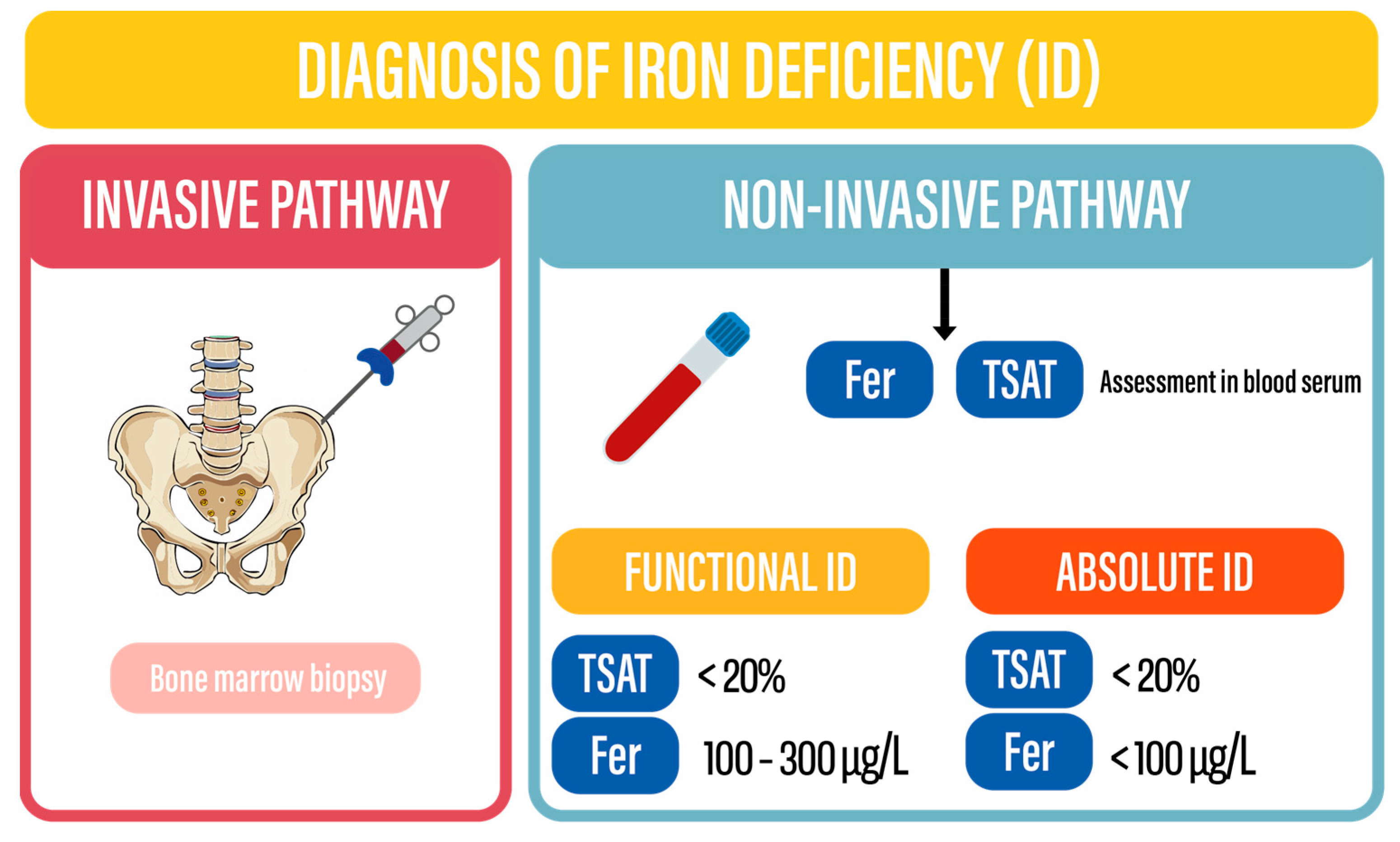 Biomedicines 13 00769 g003