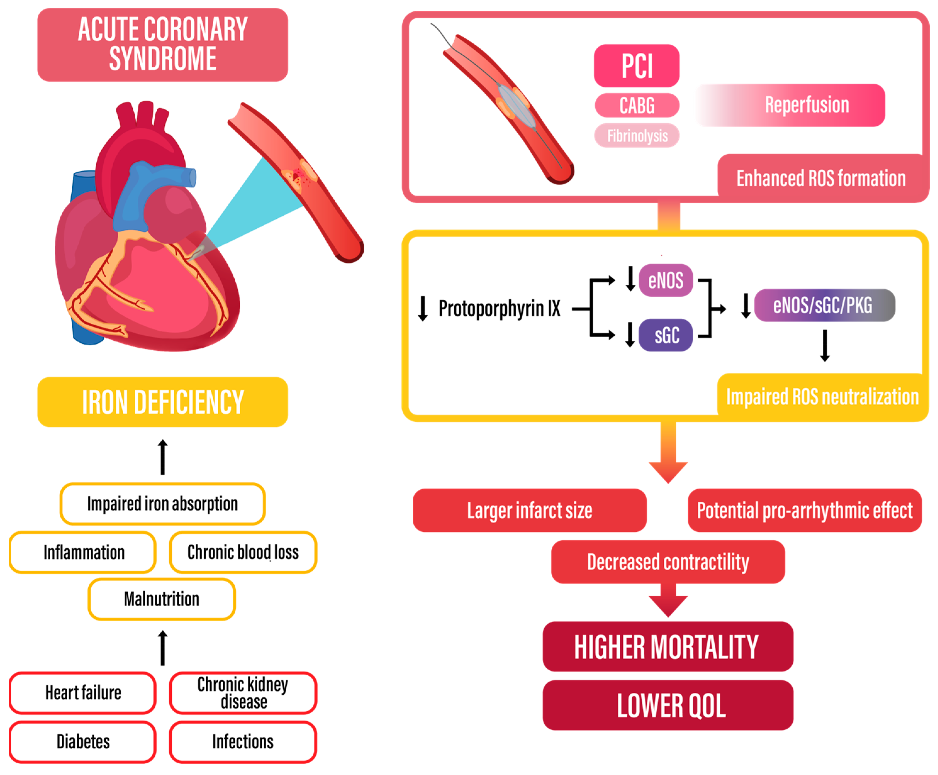 Biomedicines 13 00769 g004