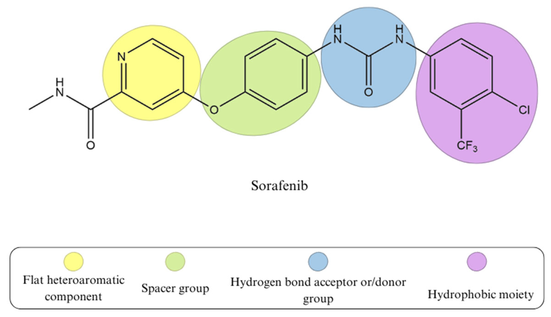 Biomedicines 13 00772 g003