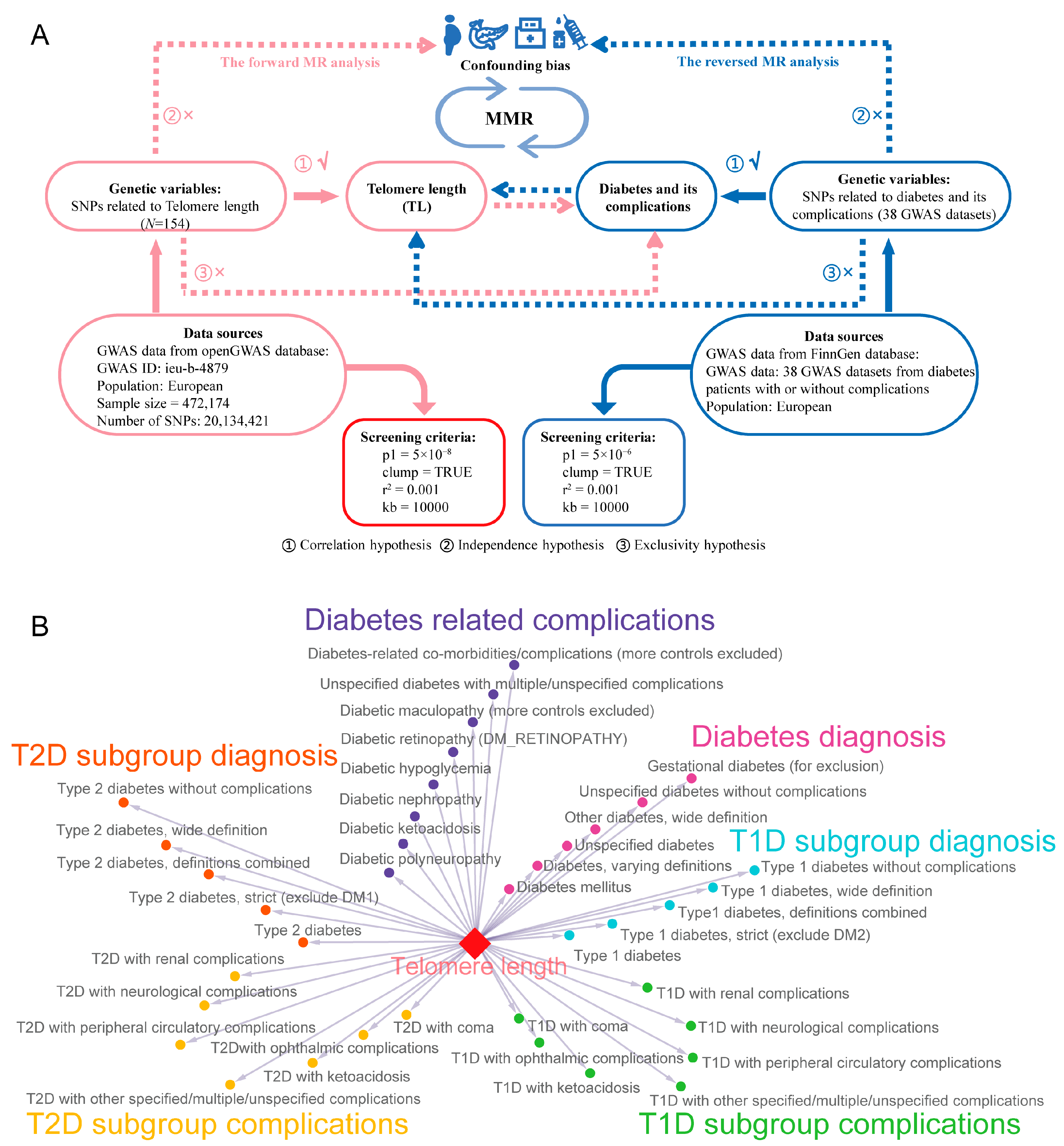 Biomedicines 13 00774 g001