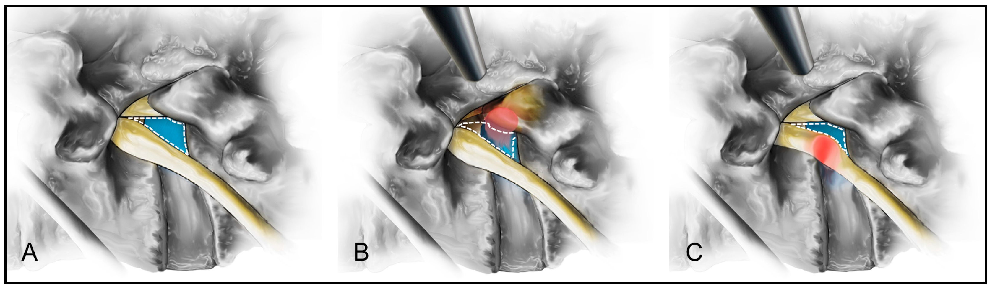 Biomedicines 13 00778 g004