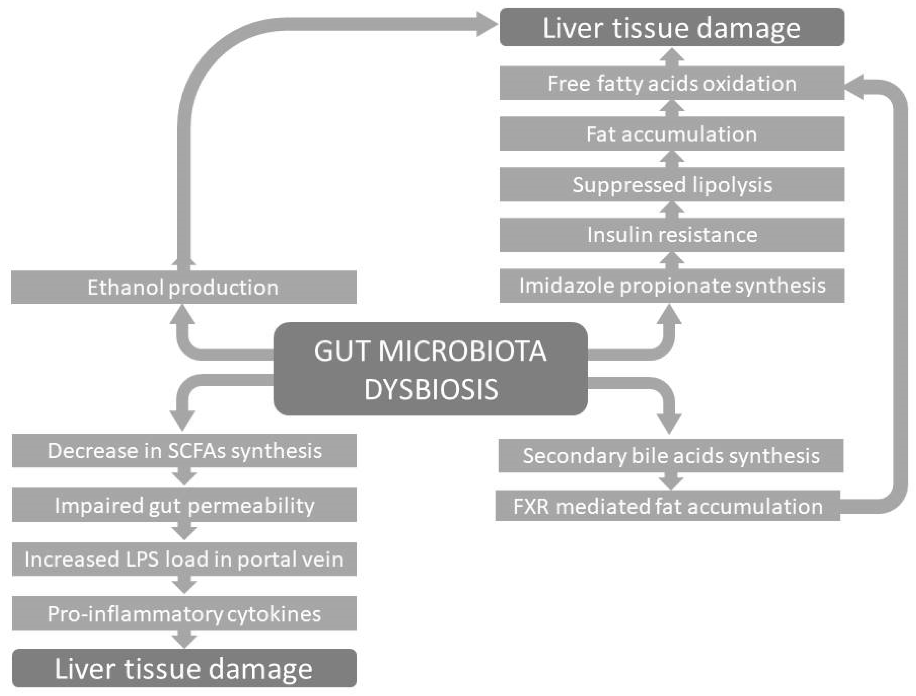 Biomedicines 13 00779 g001