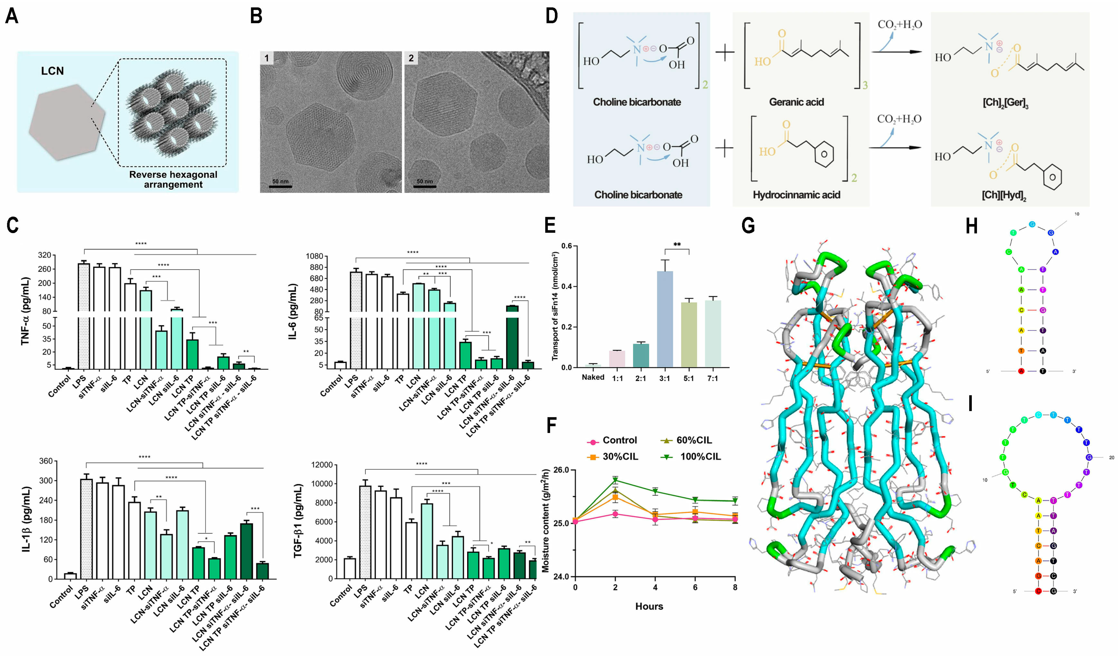 Biomedicines 13 00781 g003