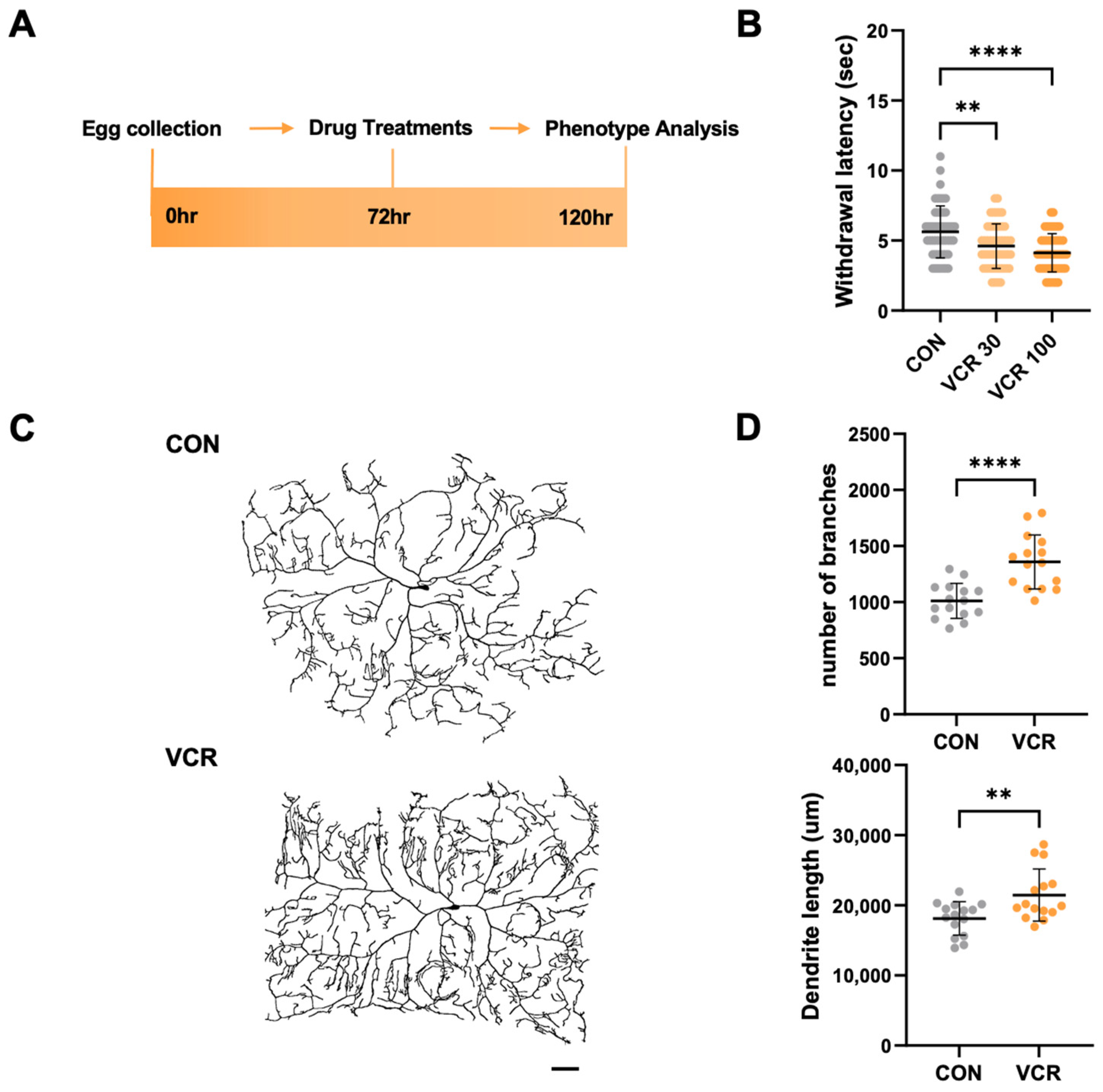 Biomedicines 13 00783 g001