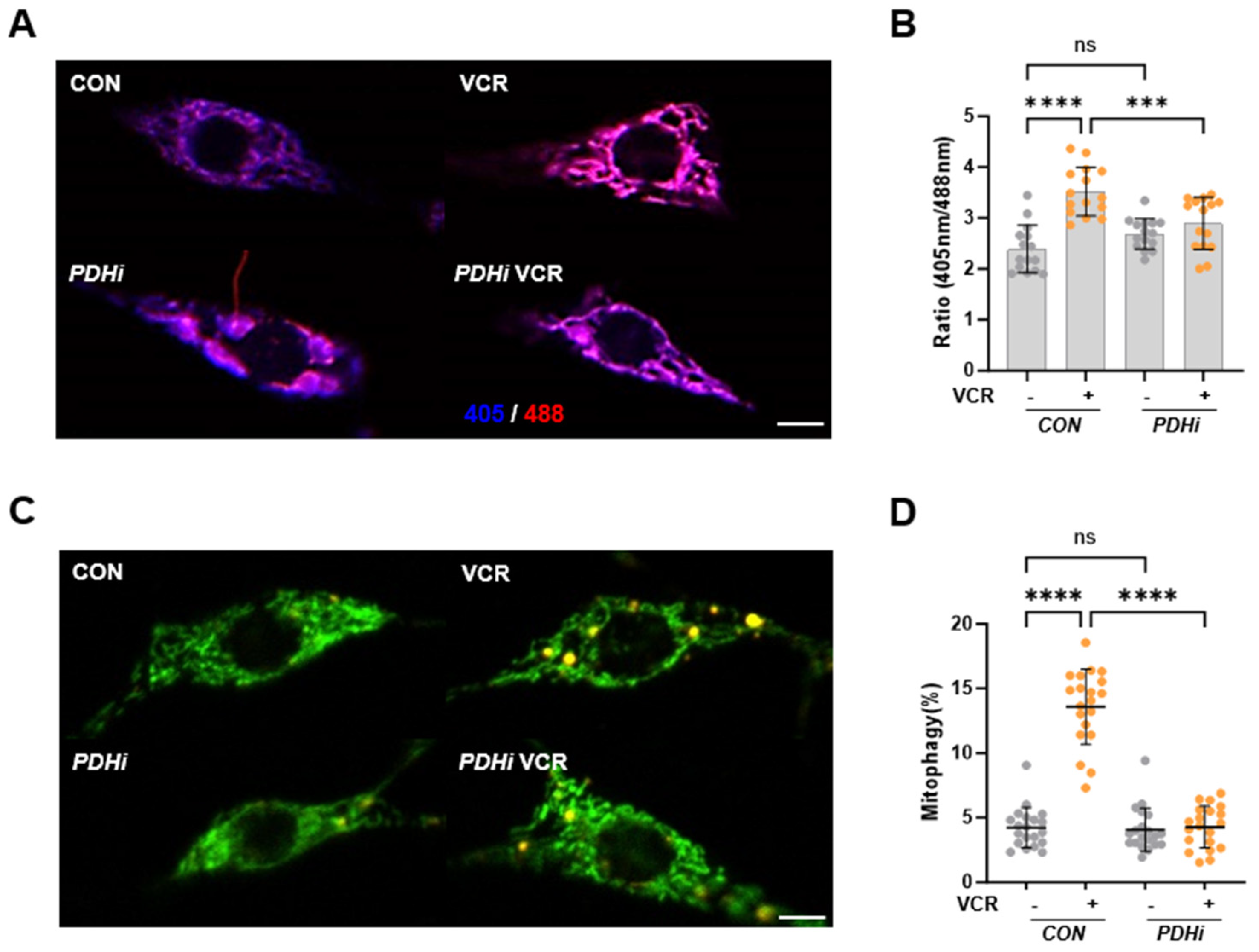 Biomedicines 13 00783 g002