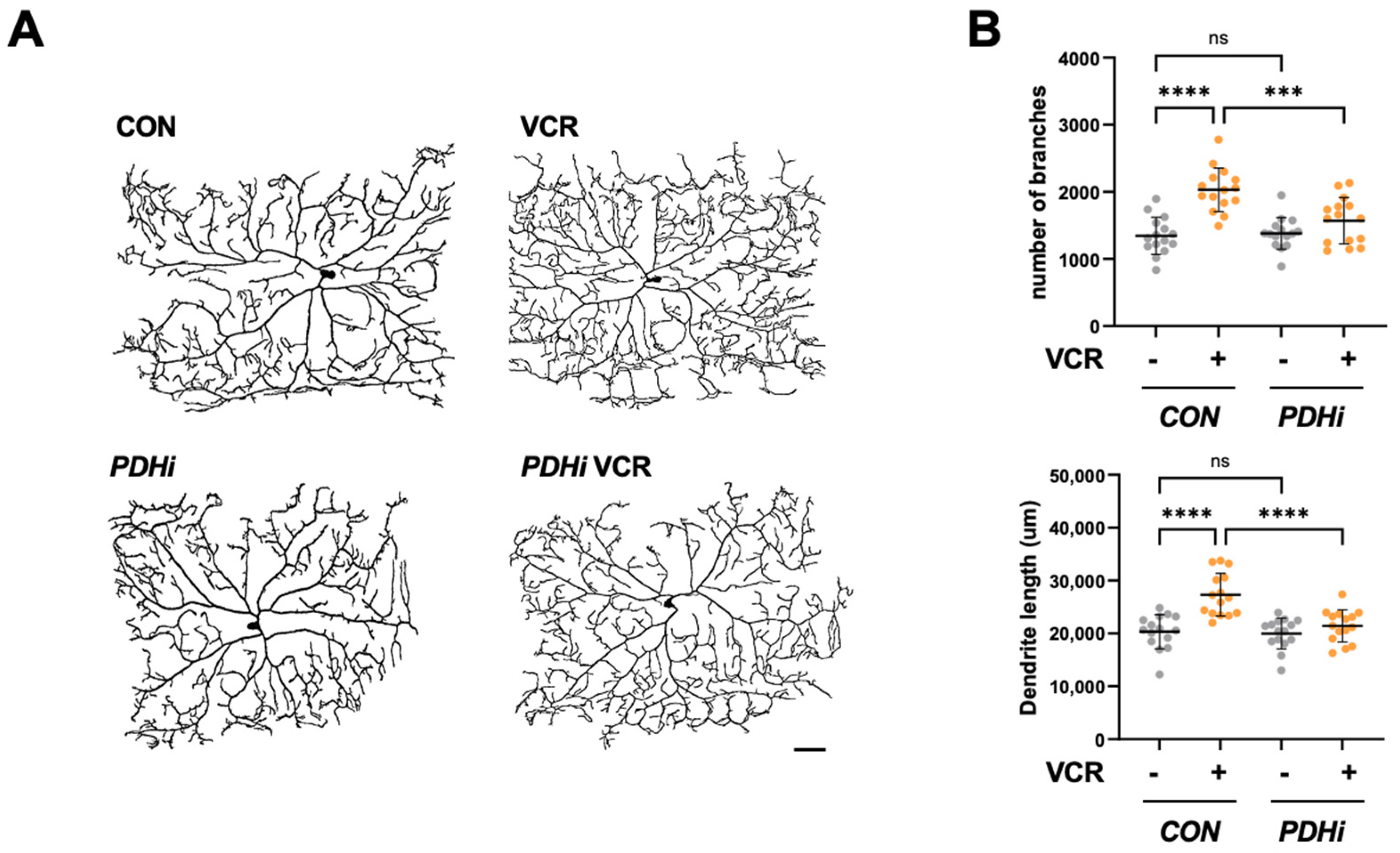 Biomedicines 13 00783 g004