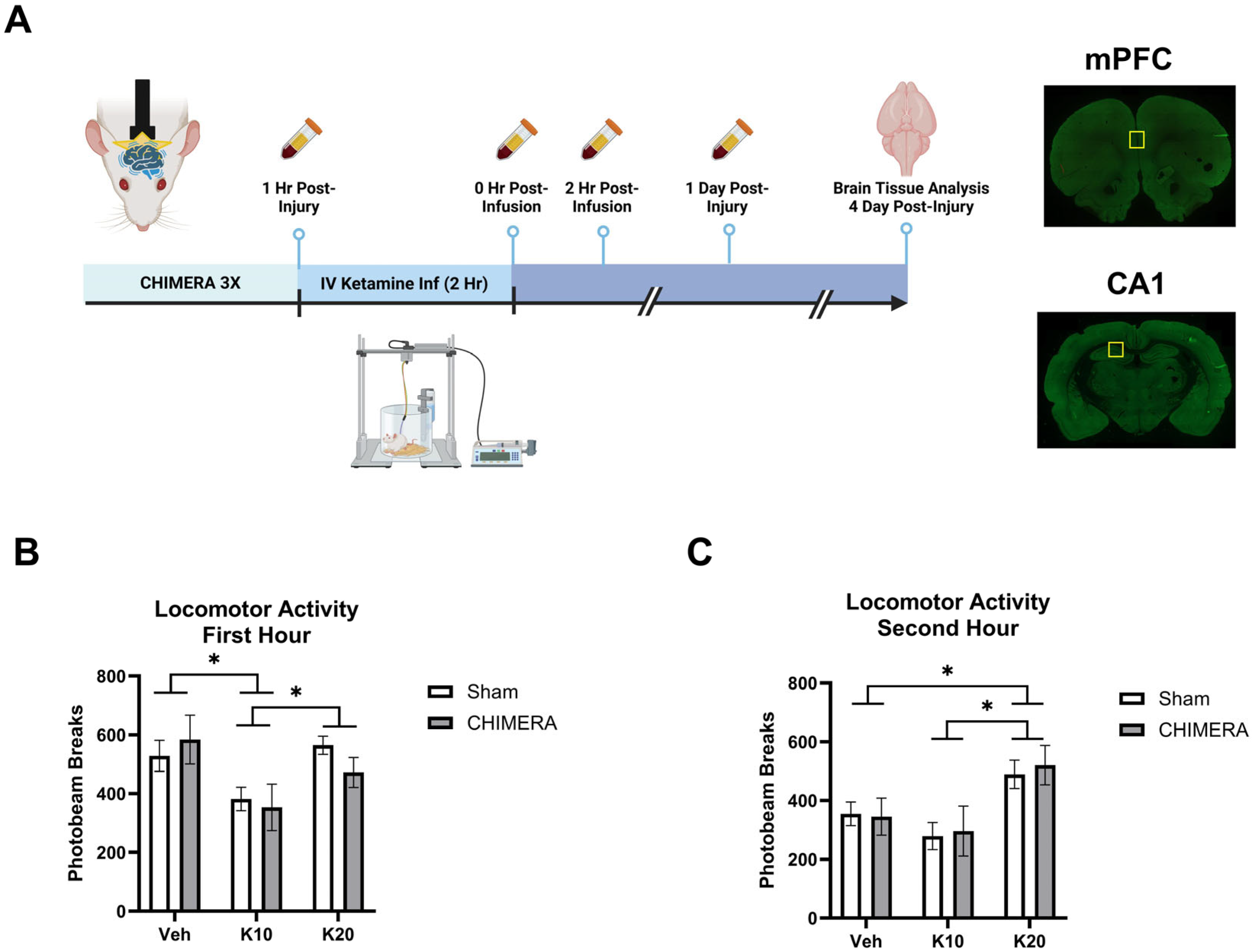 Biomedicines 13 00787 g001