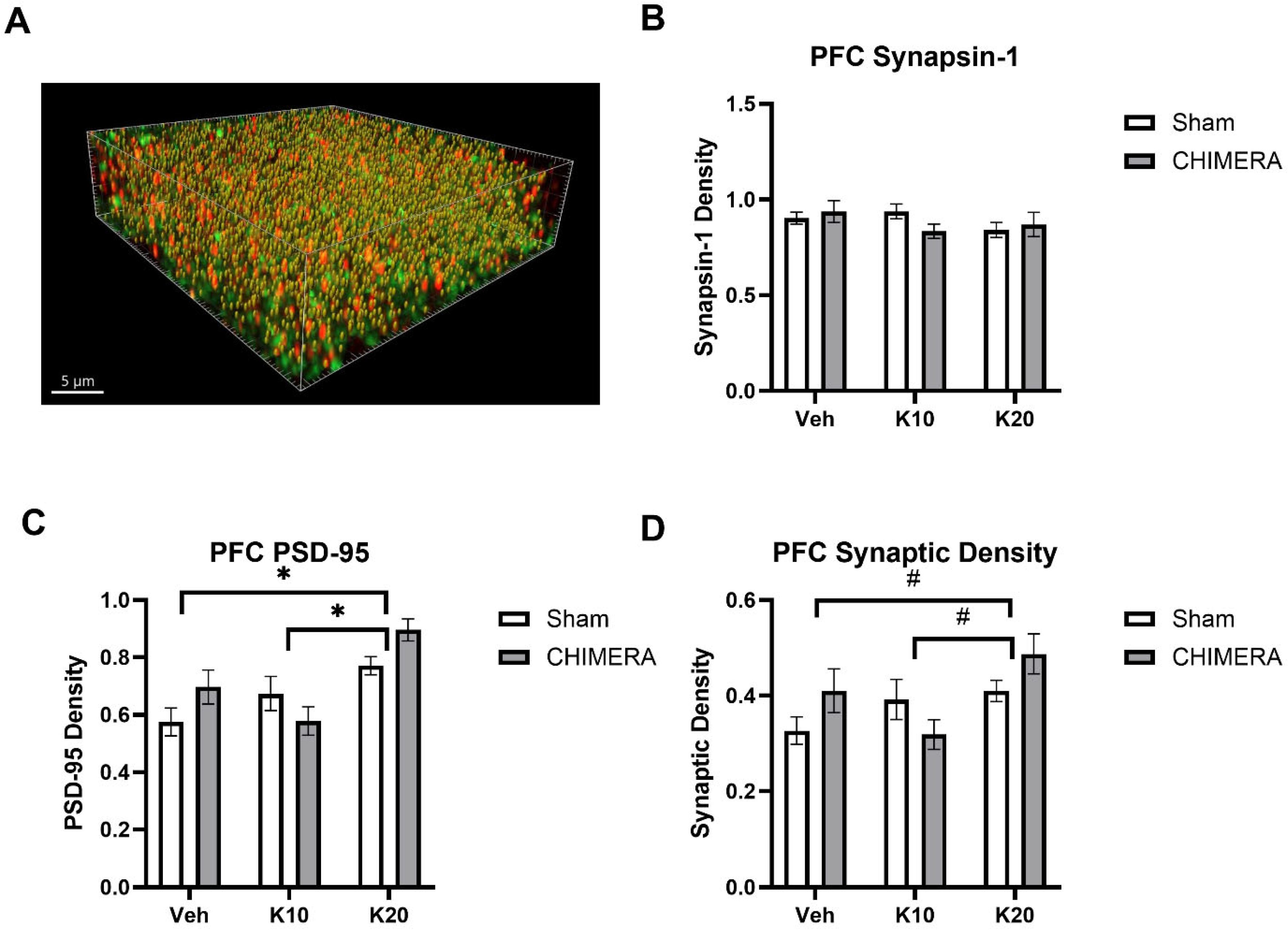 Biomedicines 13 00787 g004