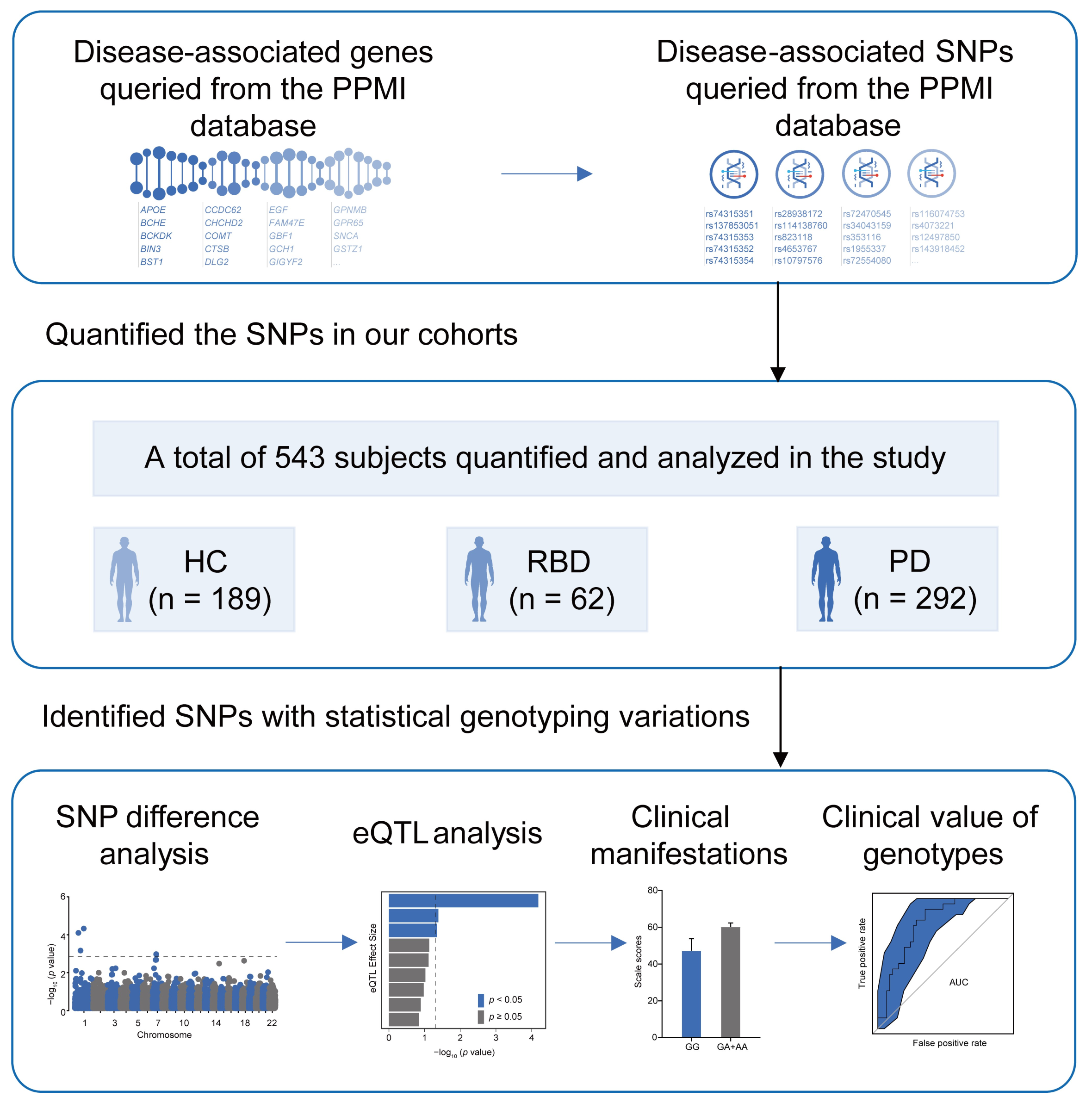 Biomedicines 13 00788 g001