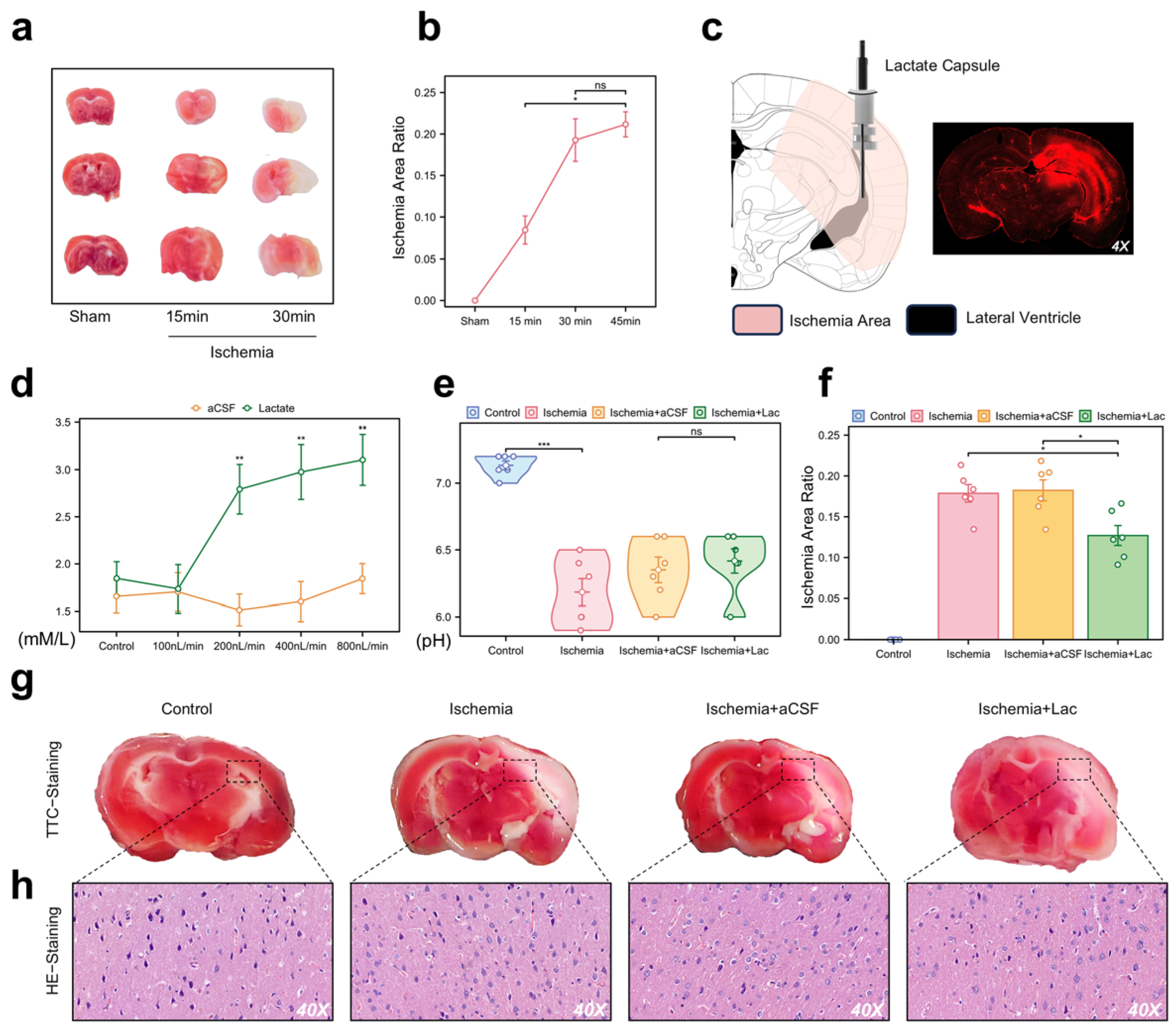 Biomedicines 13 00789 g003