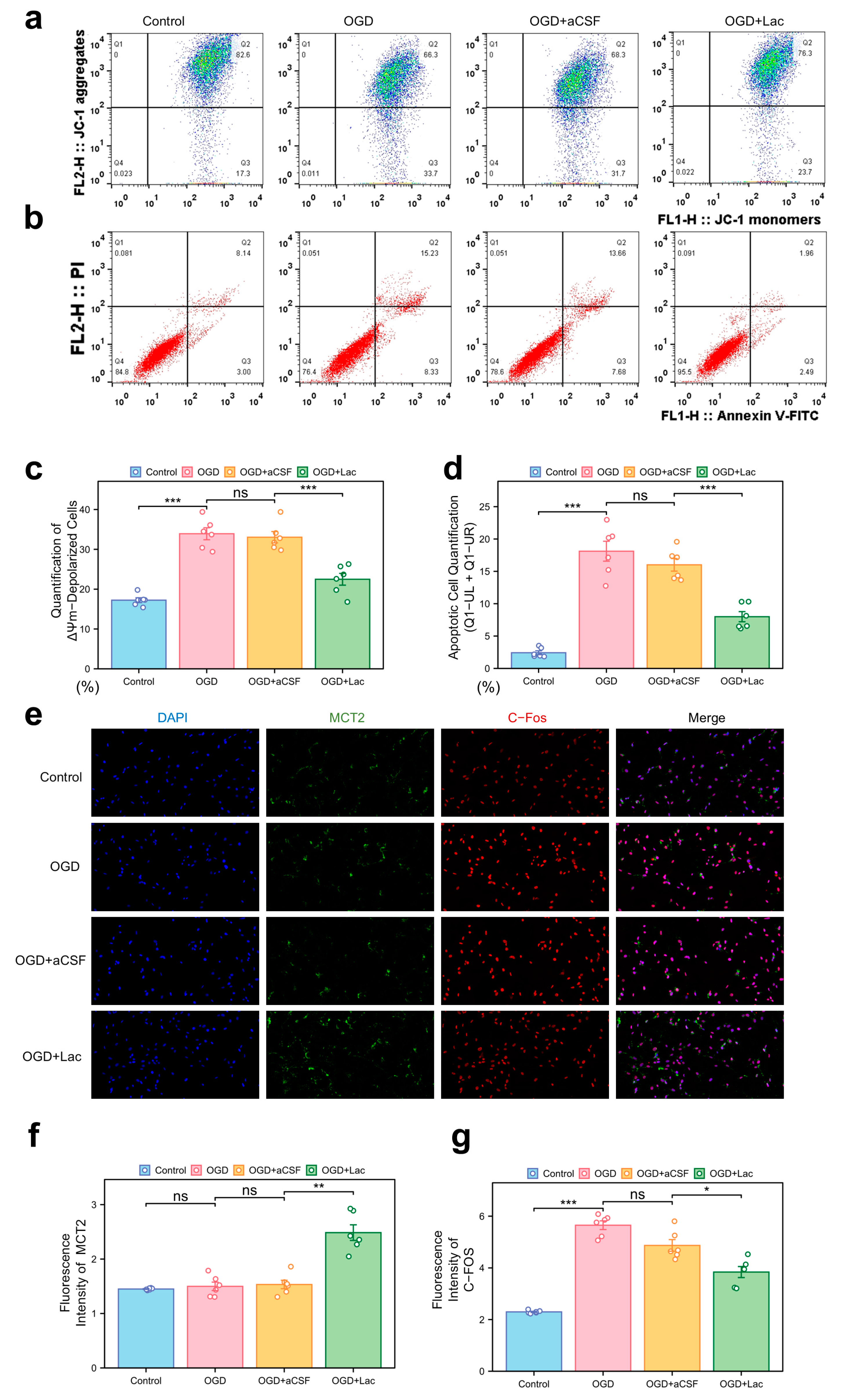 Biomedicines 13 00789 g006