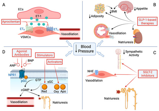 Biomedicines 13 00790 g002