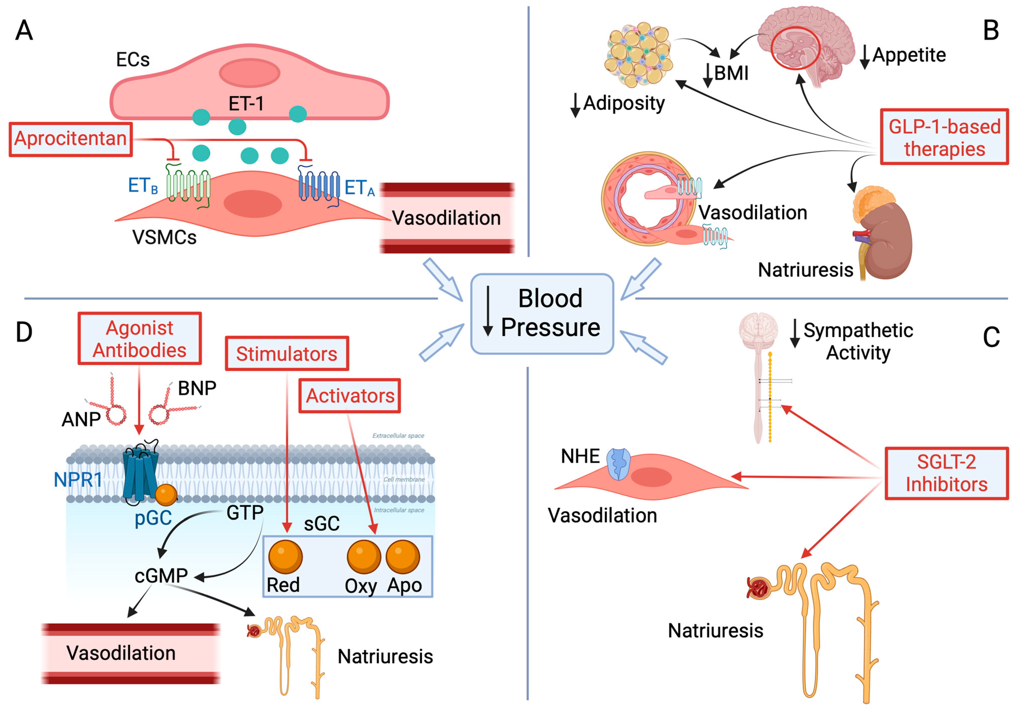 Biomedicines 13 00790 g002 Biomedicines 13 00790 g002