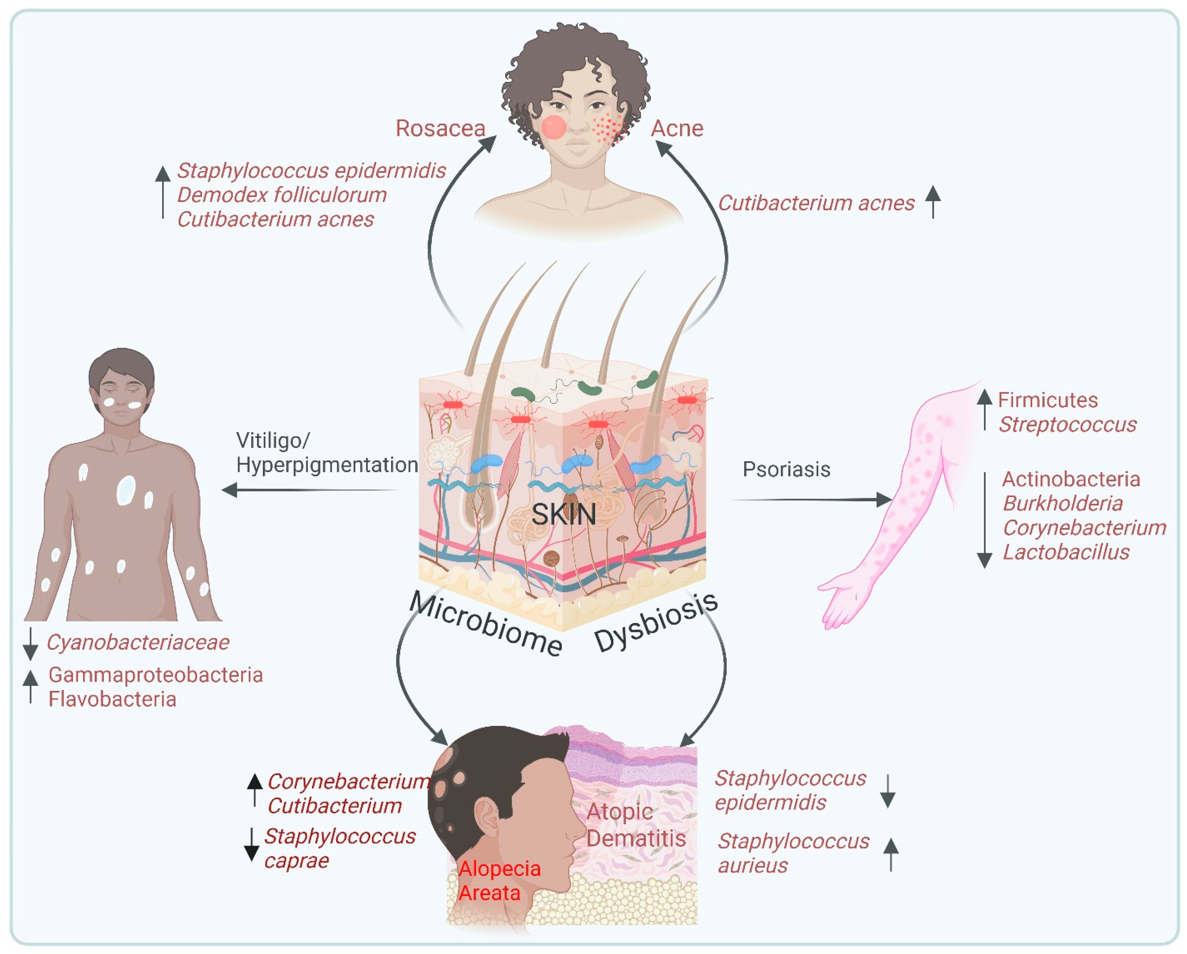 Biomedicines 13 00791 g002