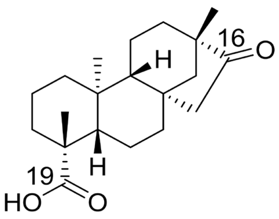 Biomedicines 13 00793 g001