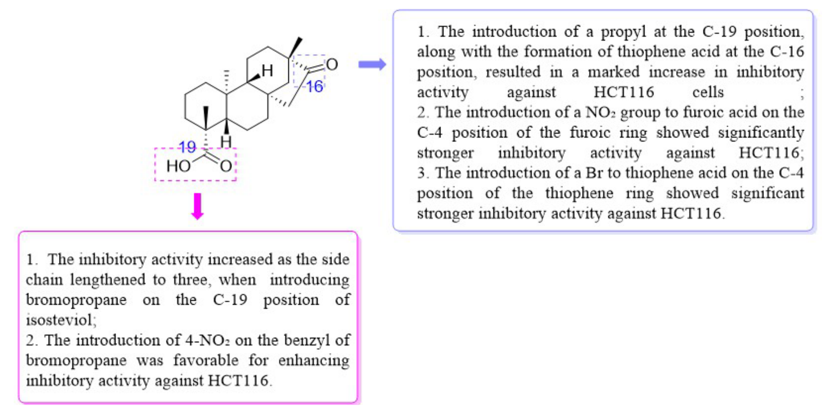 Biomedicines 13 00793 g003