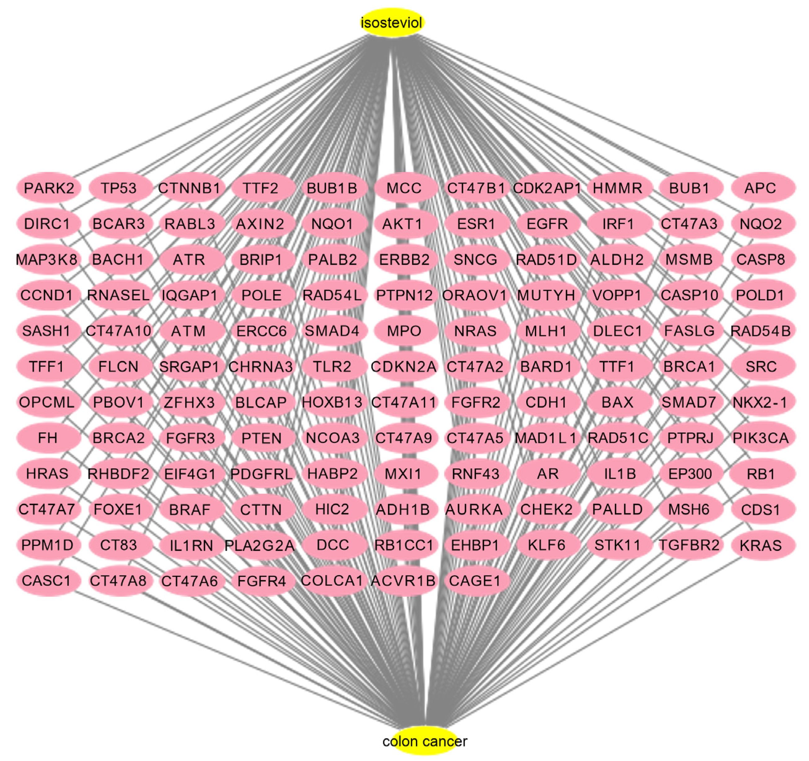 Biomedicines 13 00793 g007