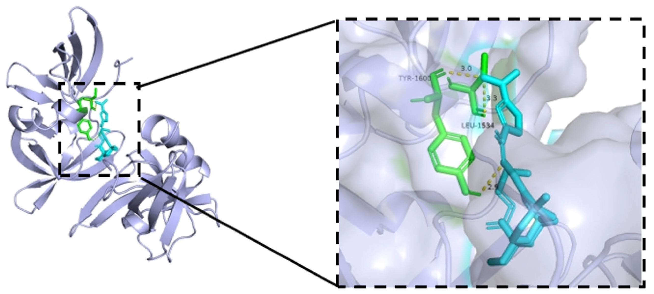 Biomedicines 13 00793 g009