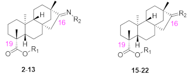 Biomedicines 13 00793 i001
