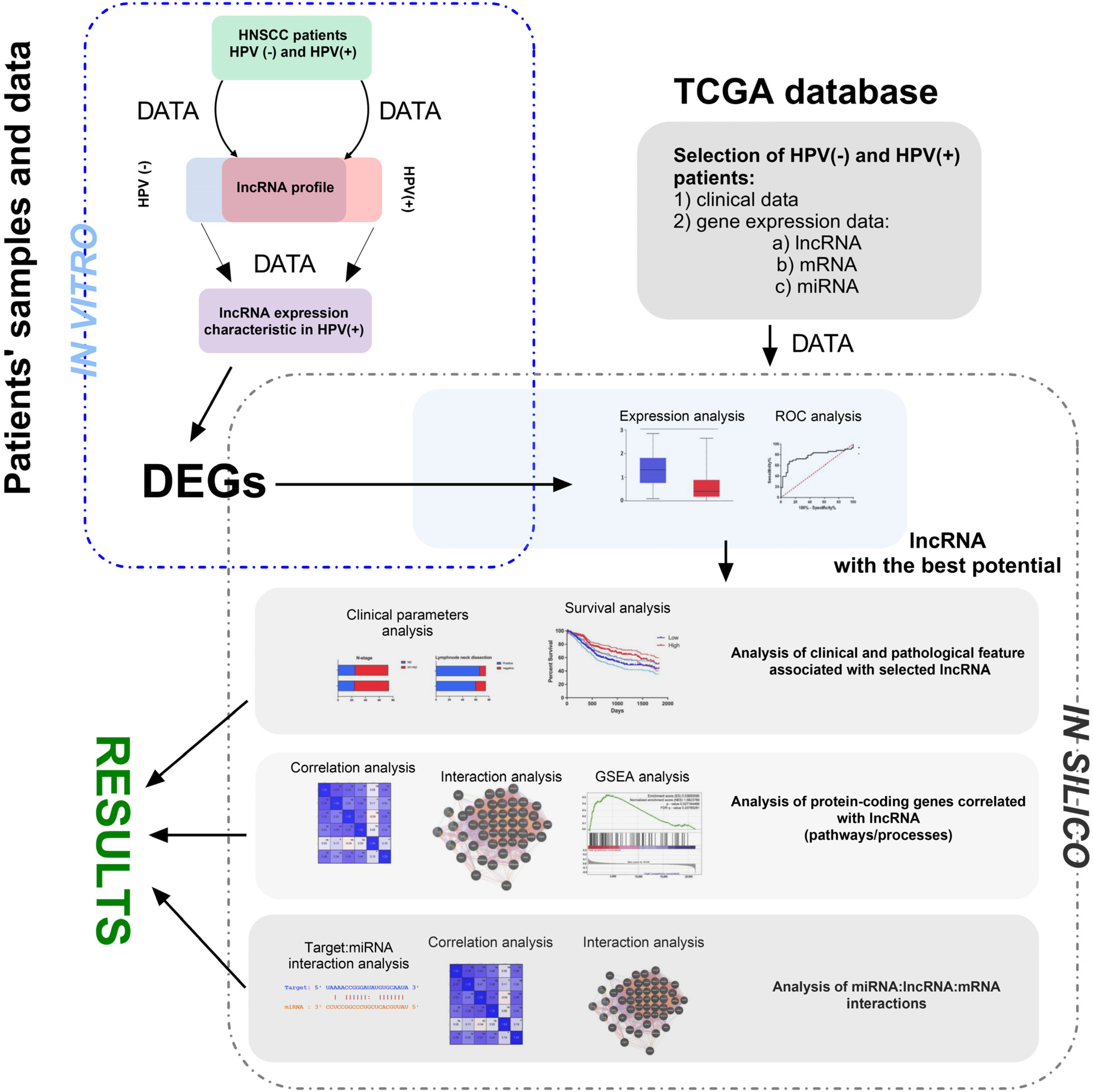 Biomedicines 13 00798 g001