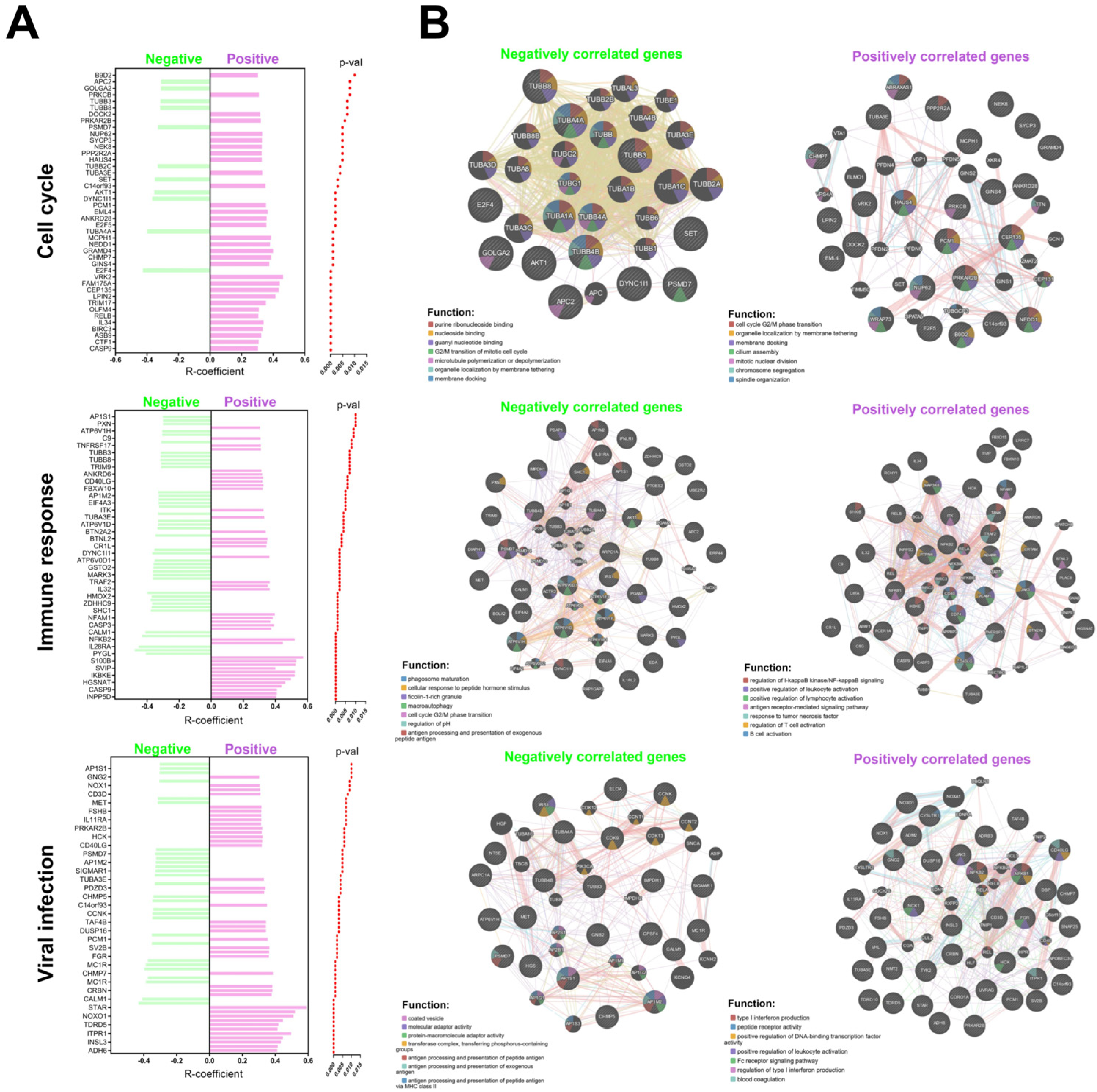 Biomedicines 13 00798 g004