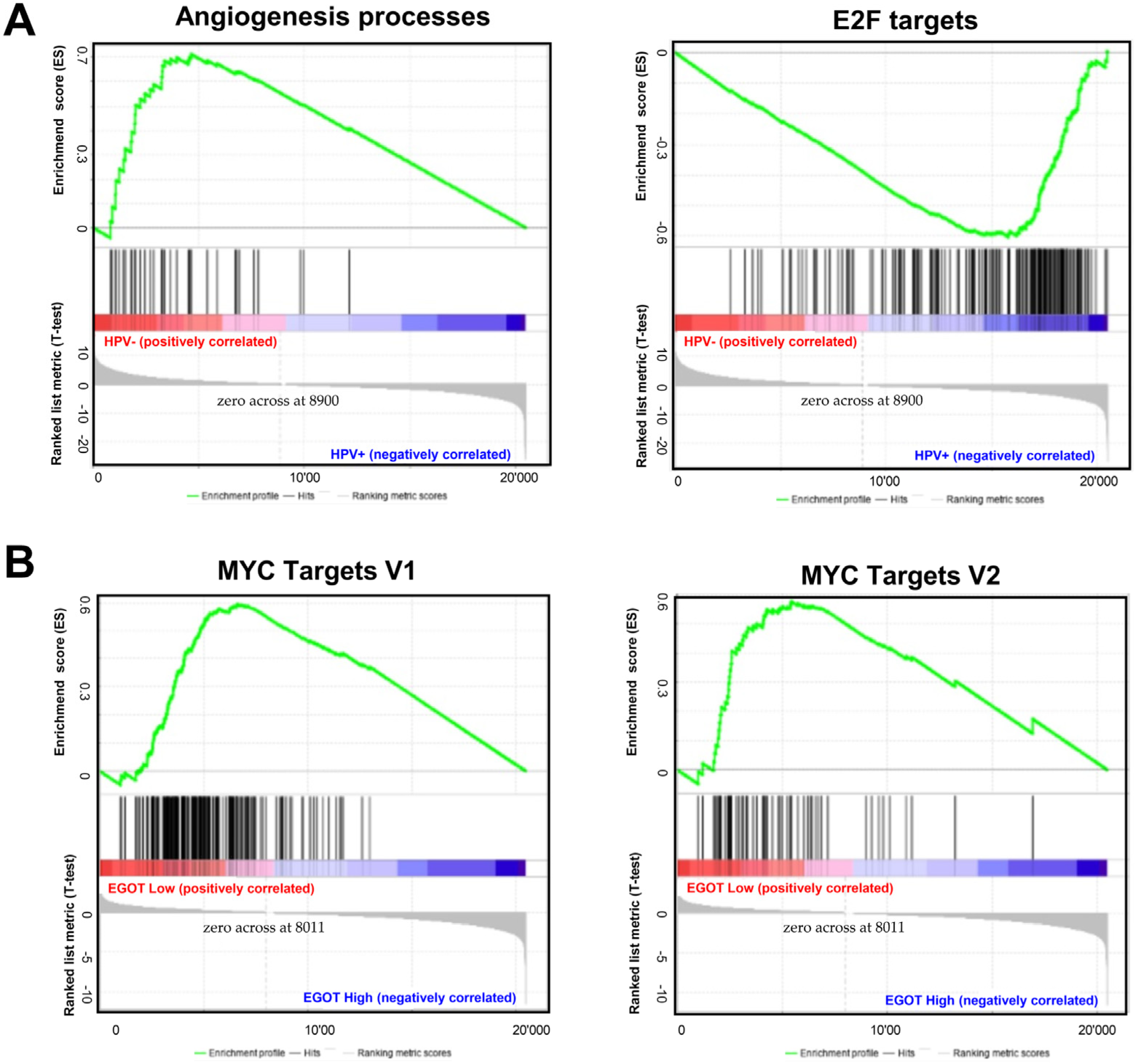 Biomedicines 13 00798 g005