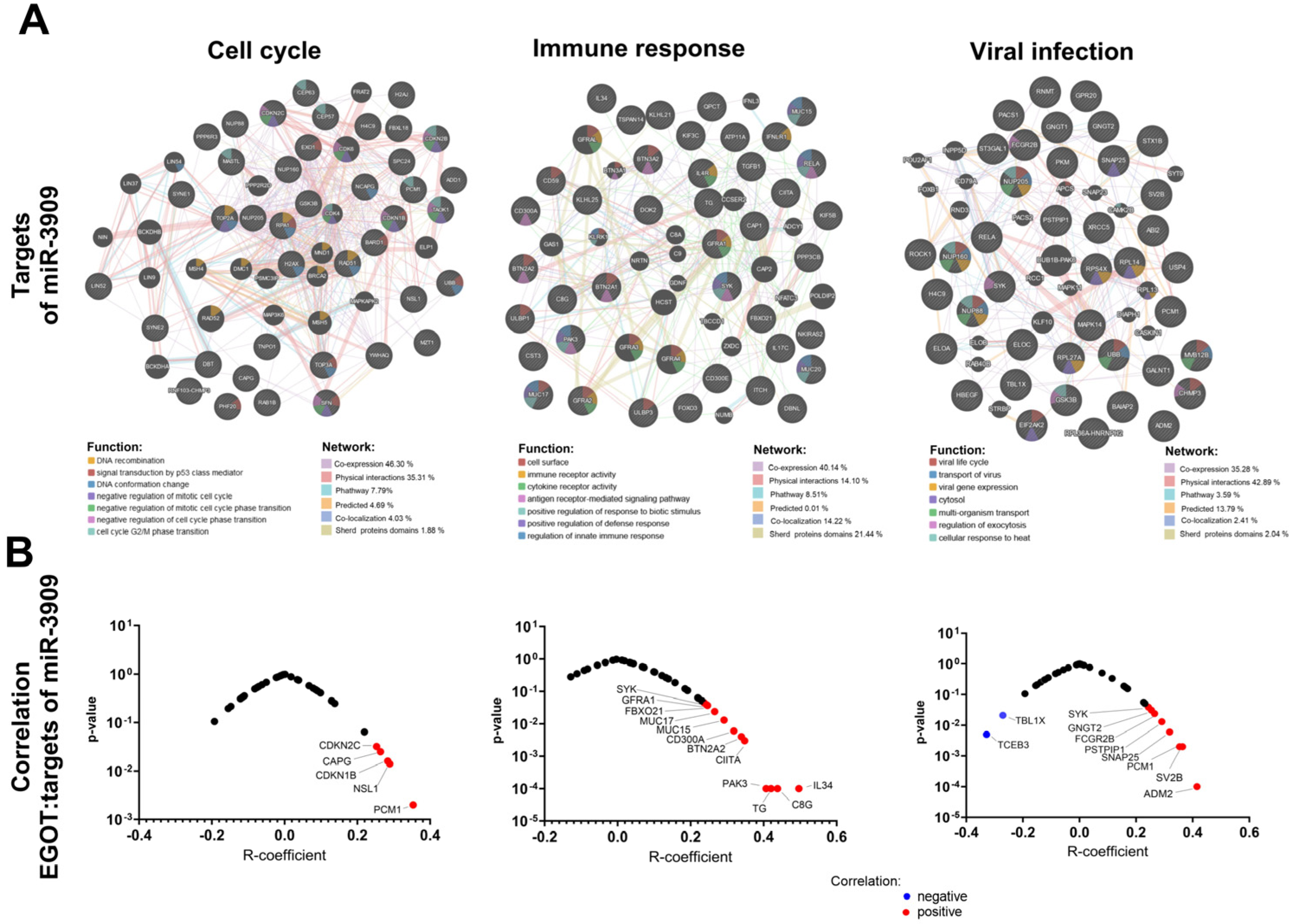 Biomedicines 13 00798 g006
