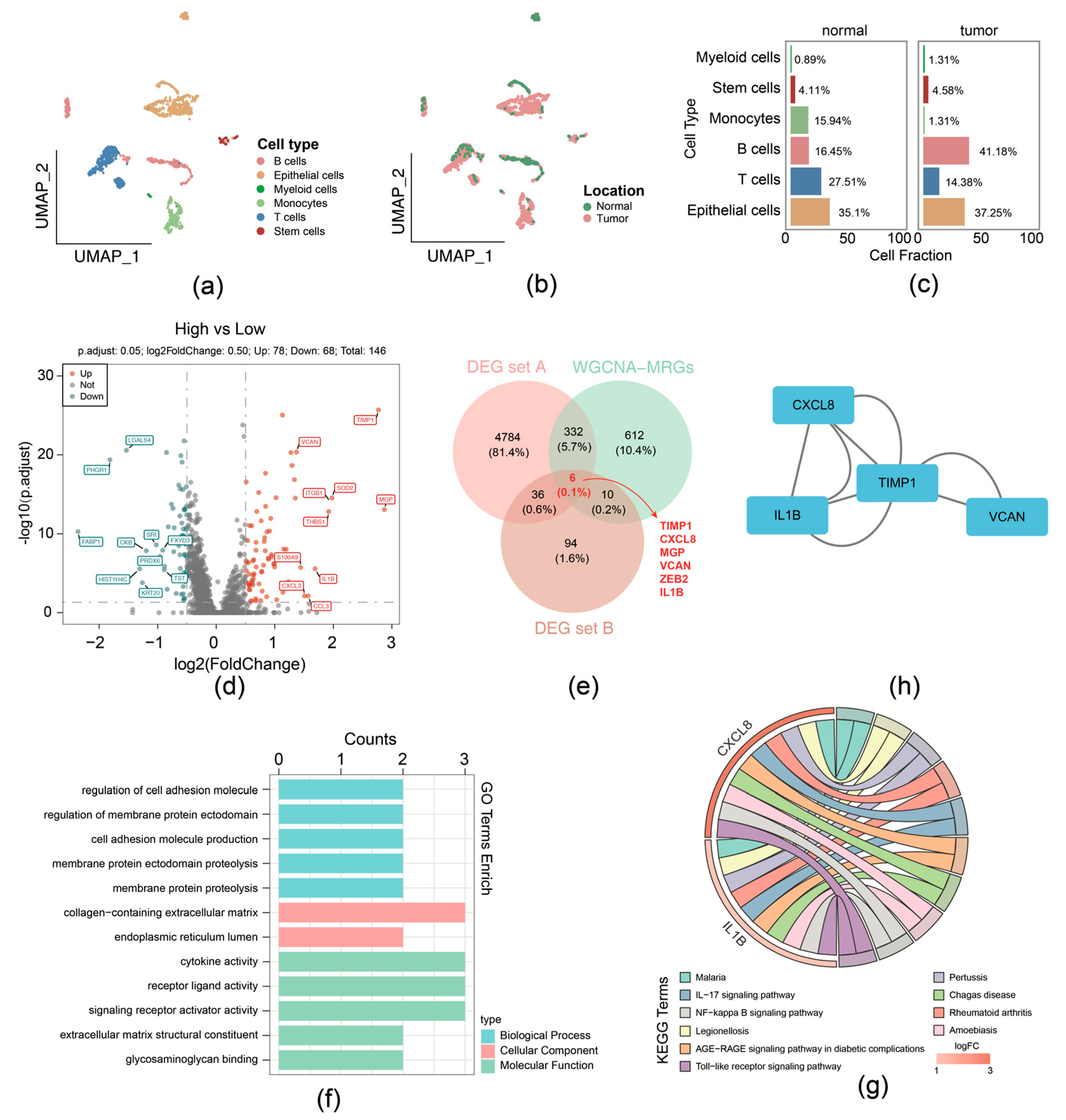 Biomedicines 13 00799 g002