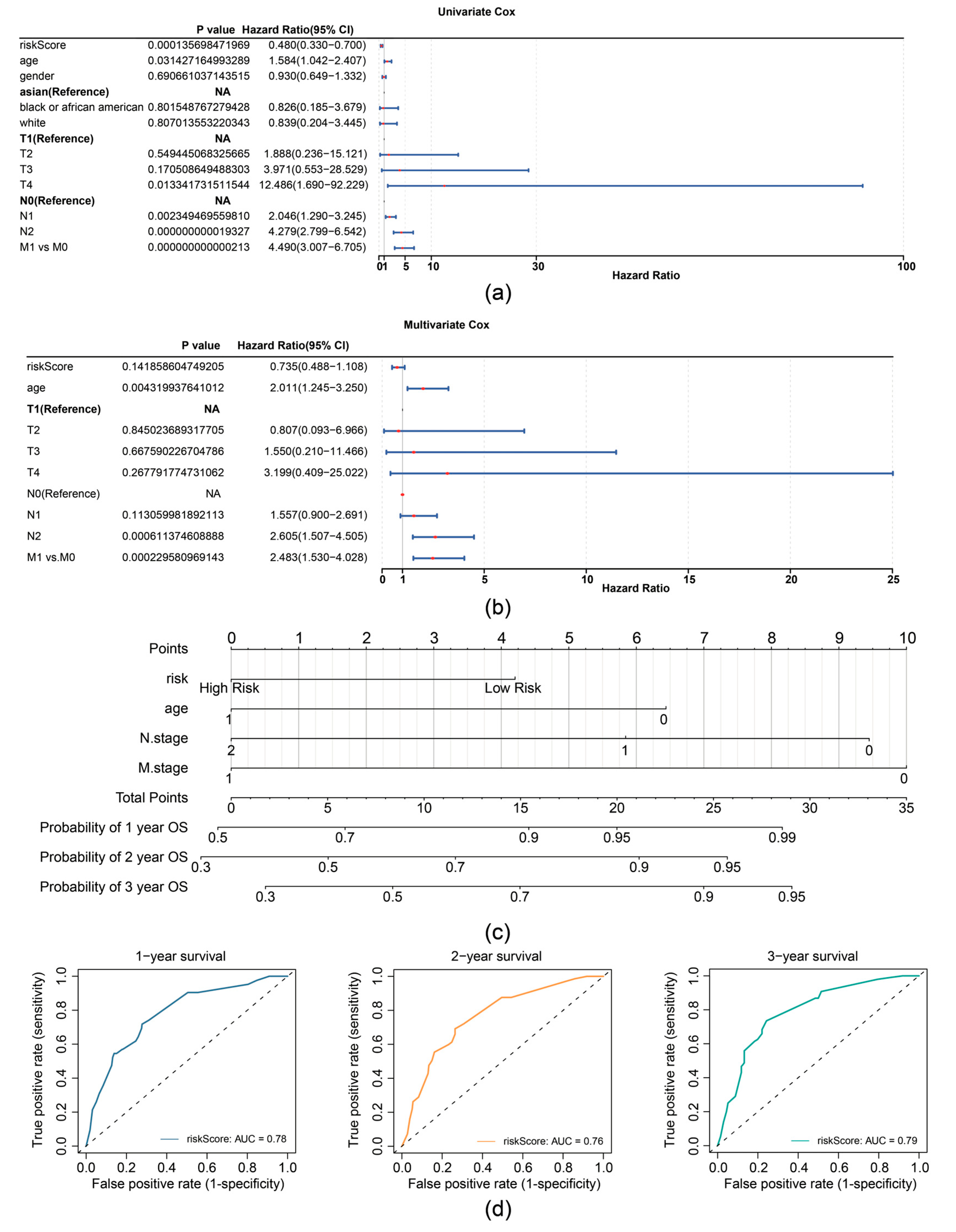Biomedicines 13 00799 g004