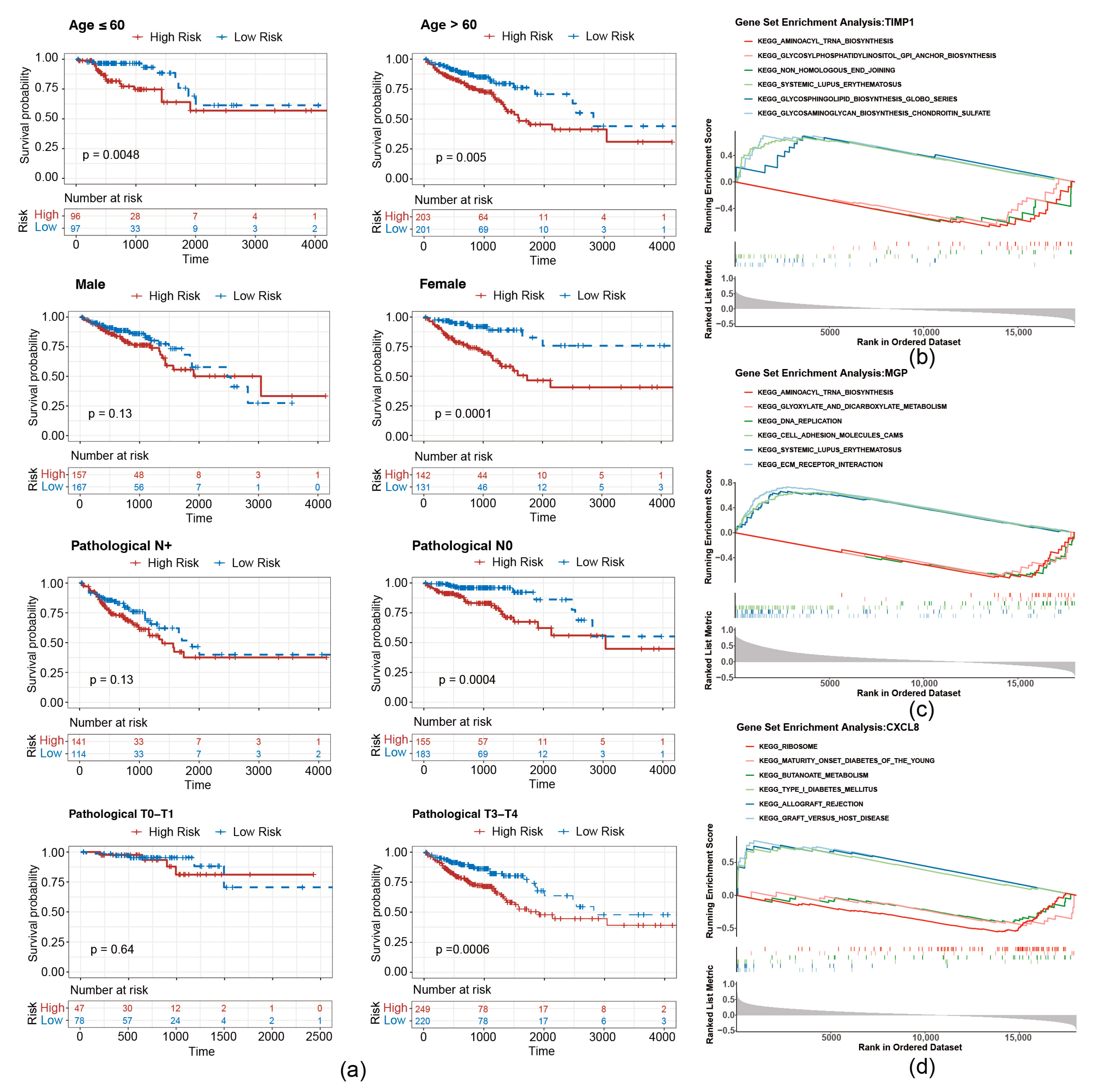 Biomedicines 13 00799 g005