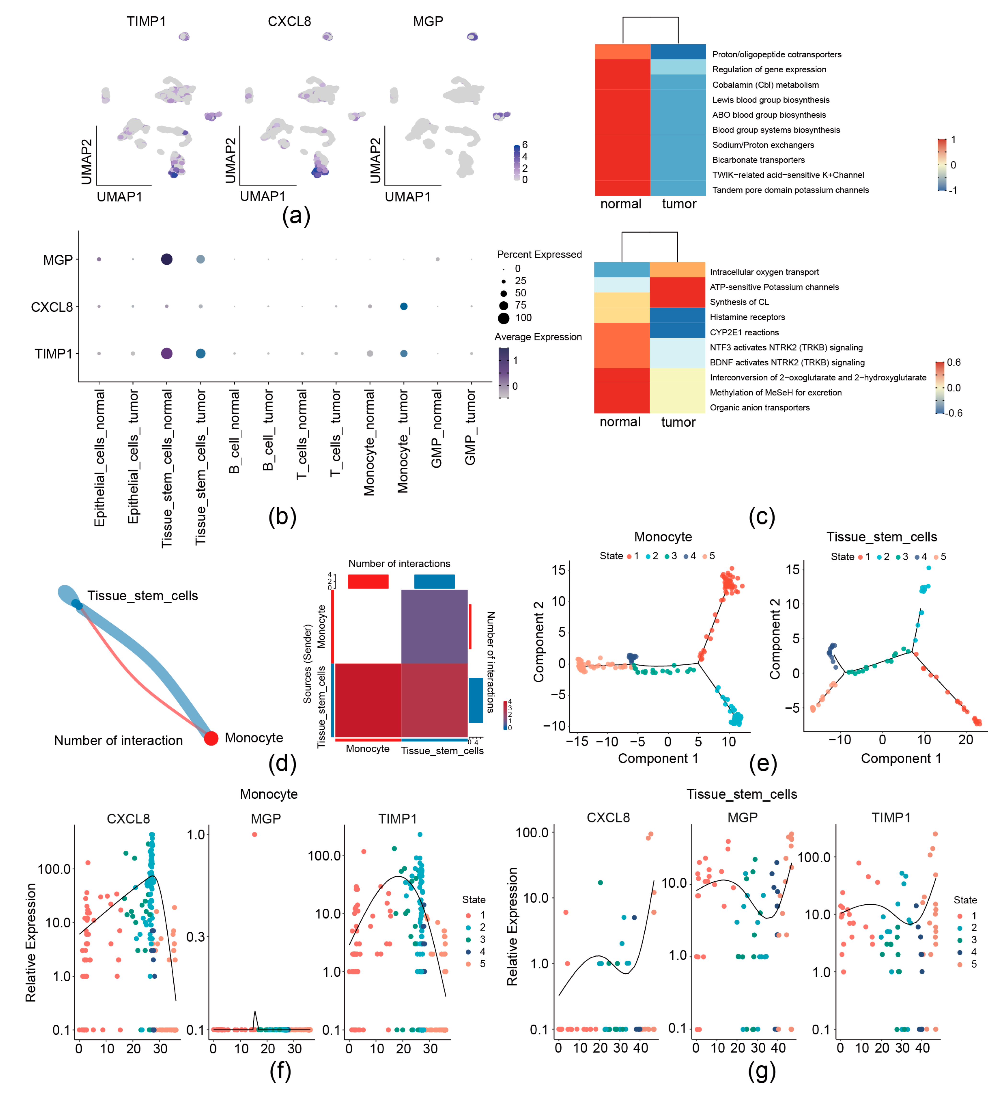 Biomedicines 13 00799 g009