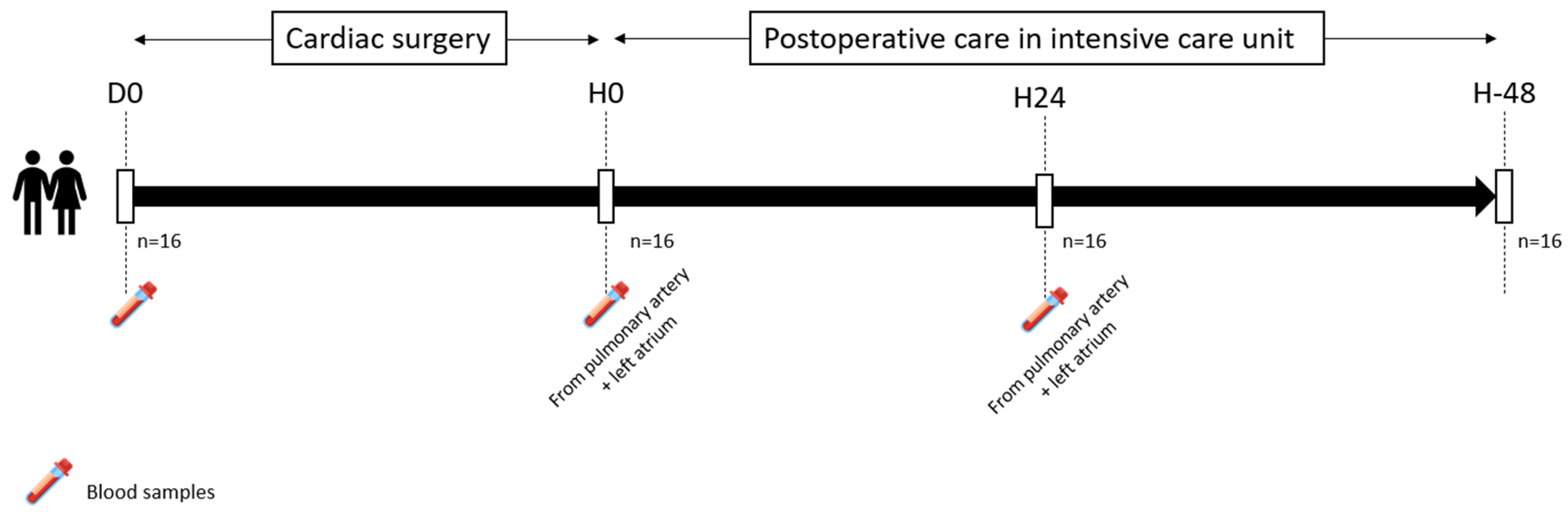 Biomedicines 13 00800 g001