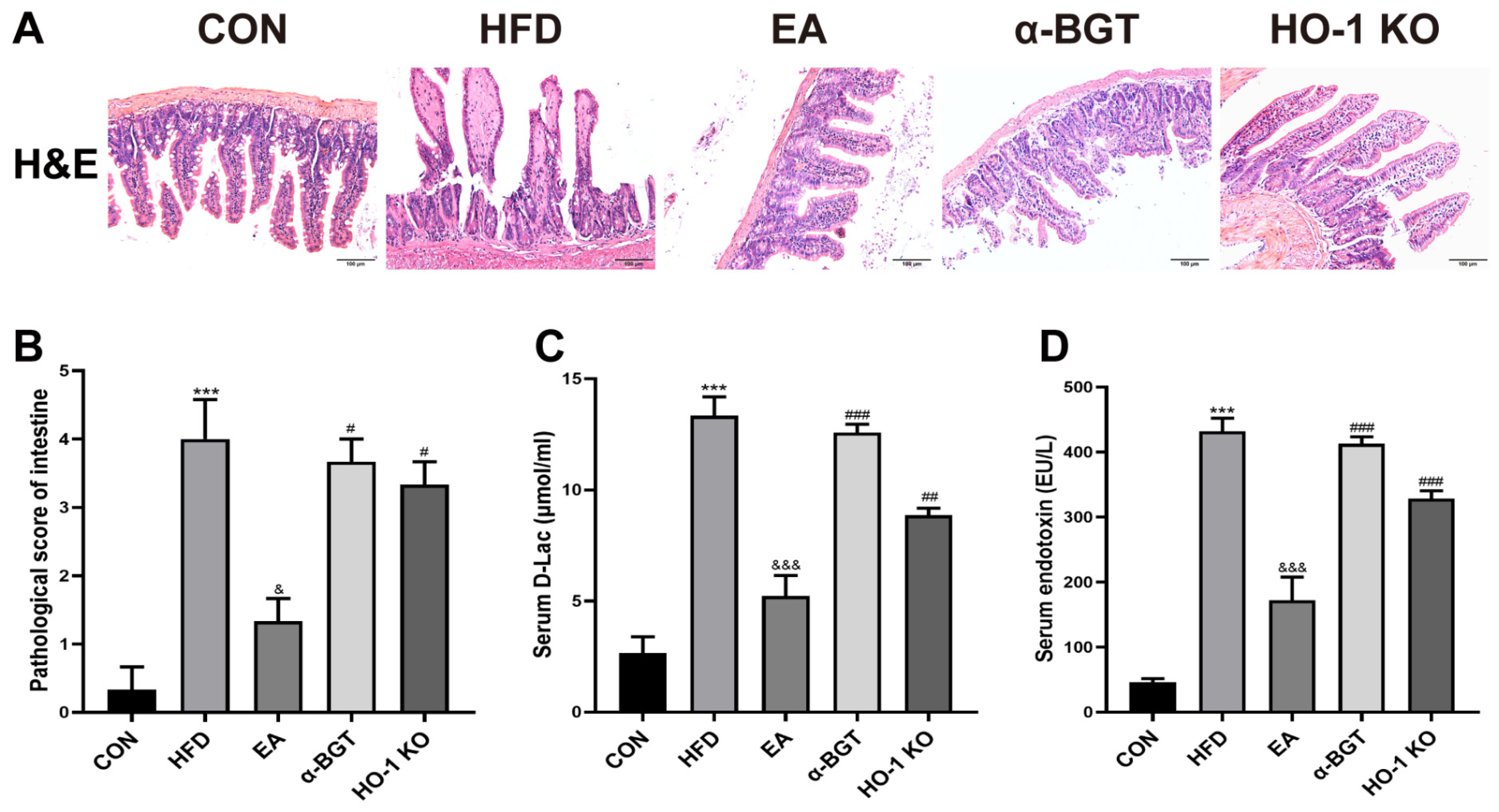 Biomedicines 13 00802 g005