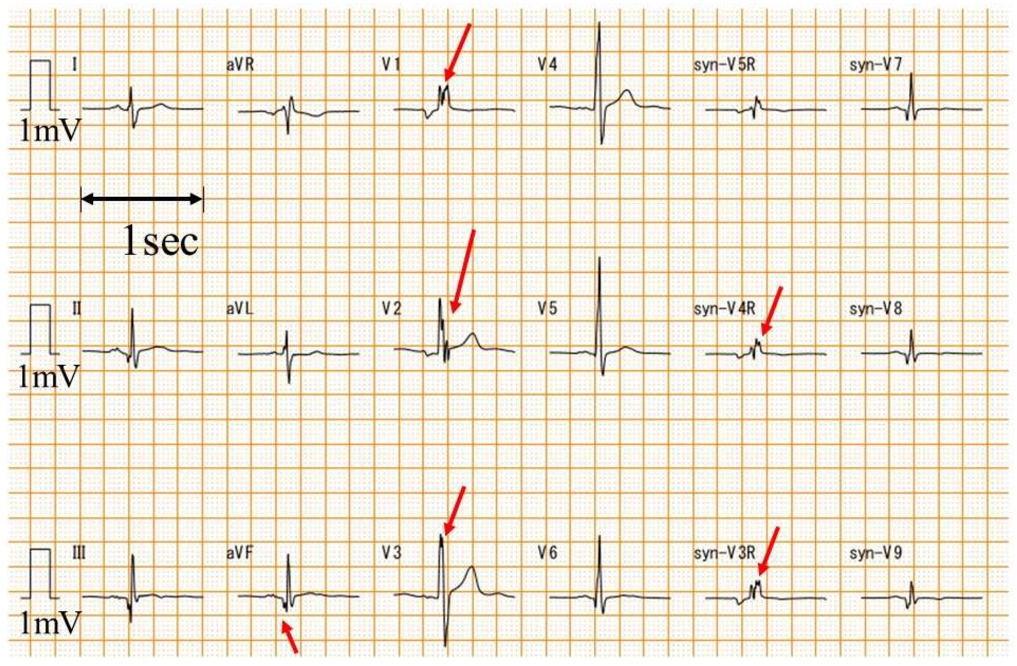 Biomedicines 13 00804 g001