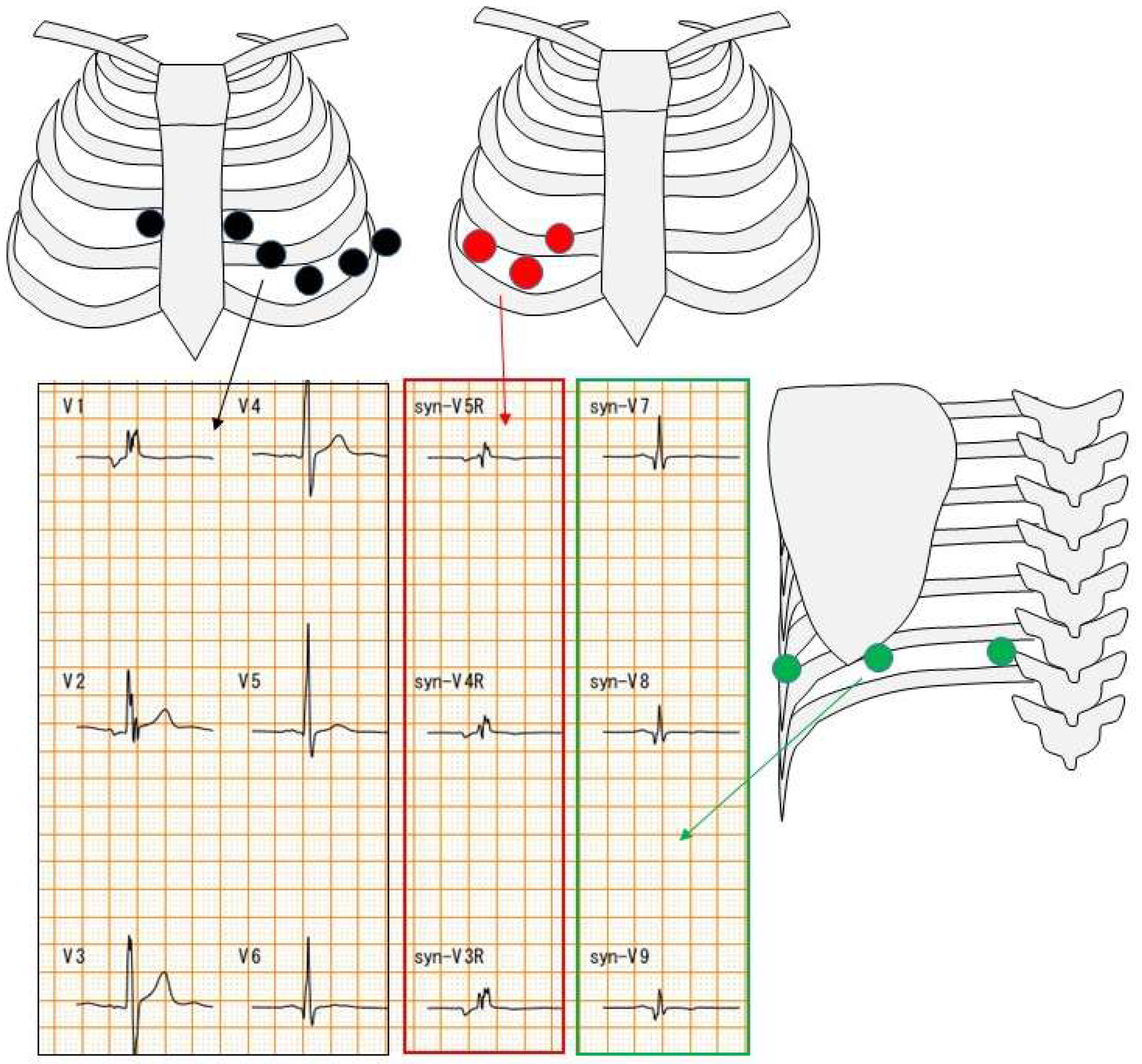 Biomedicines 13 00804 g002