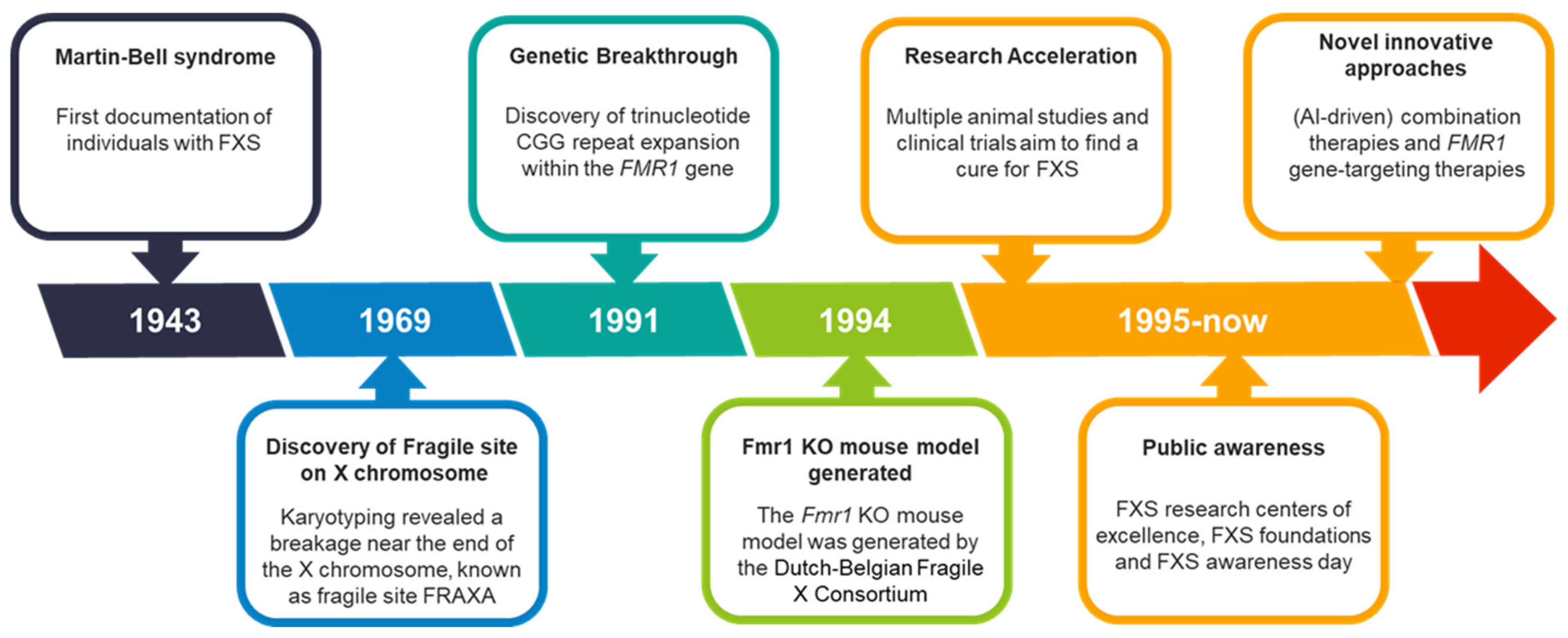Biomedicines 13 00805 g001