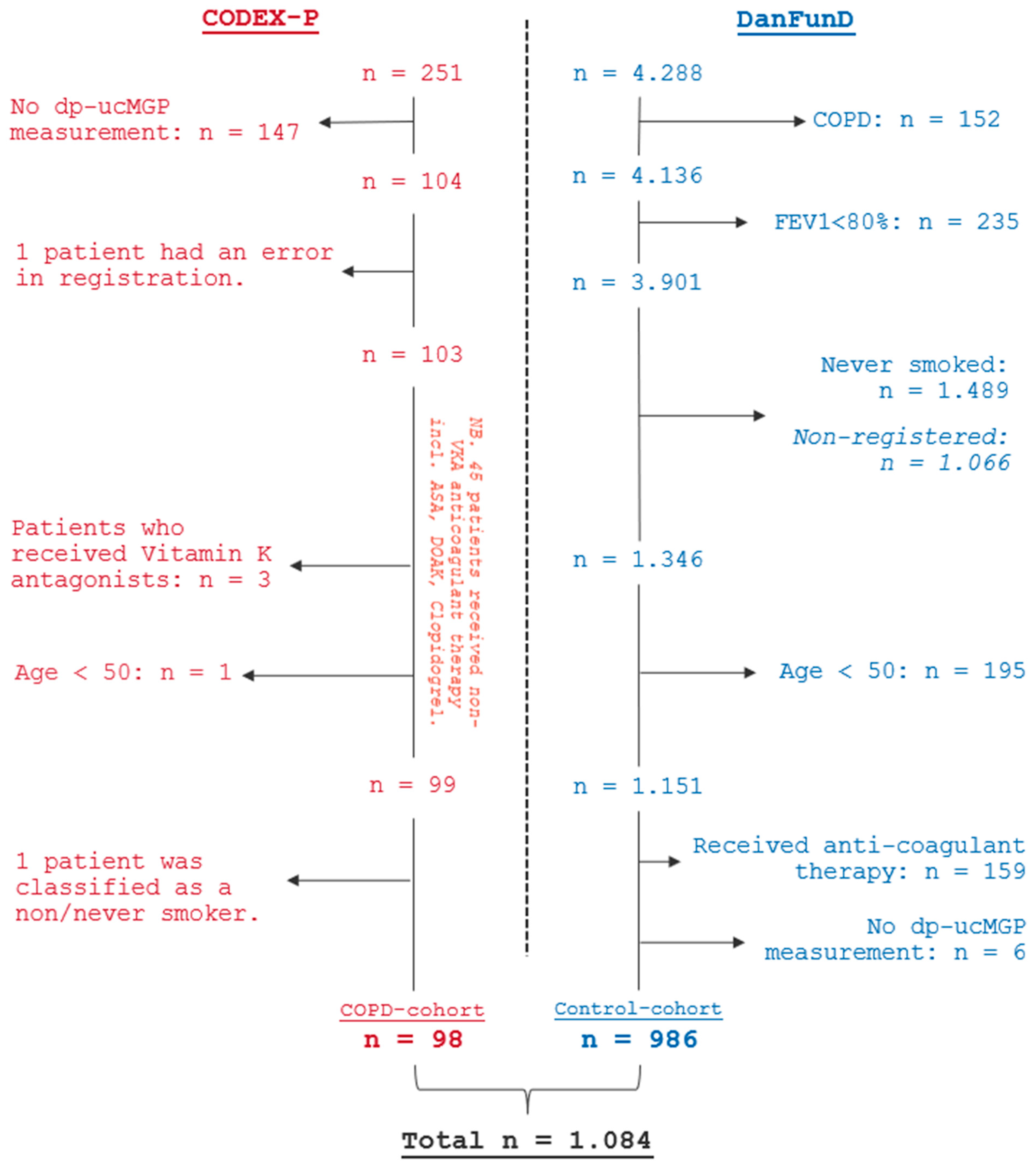 Biomedicines 13 00807 g001