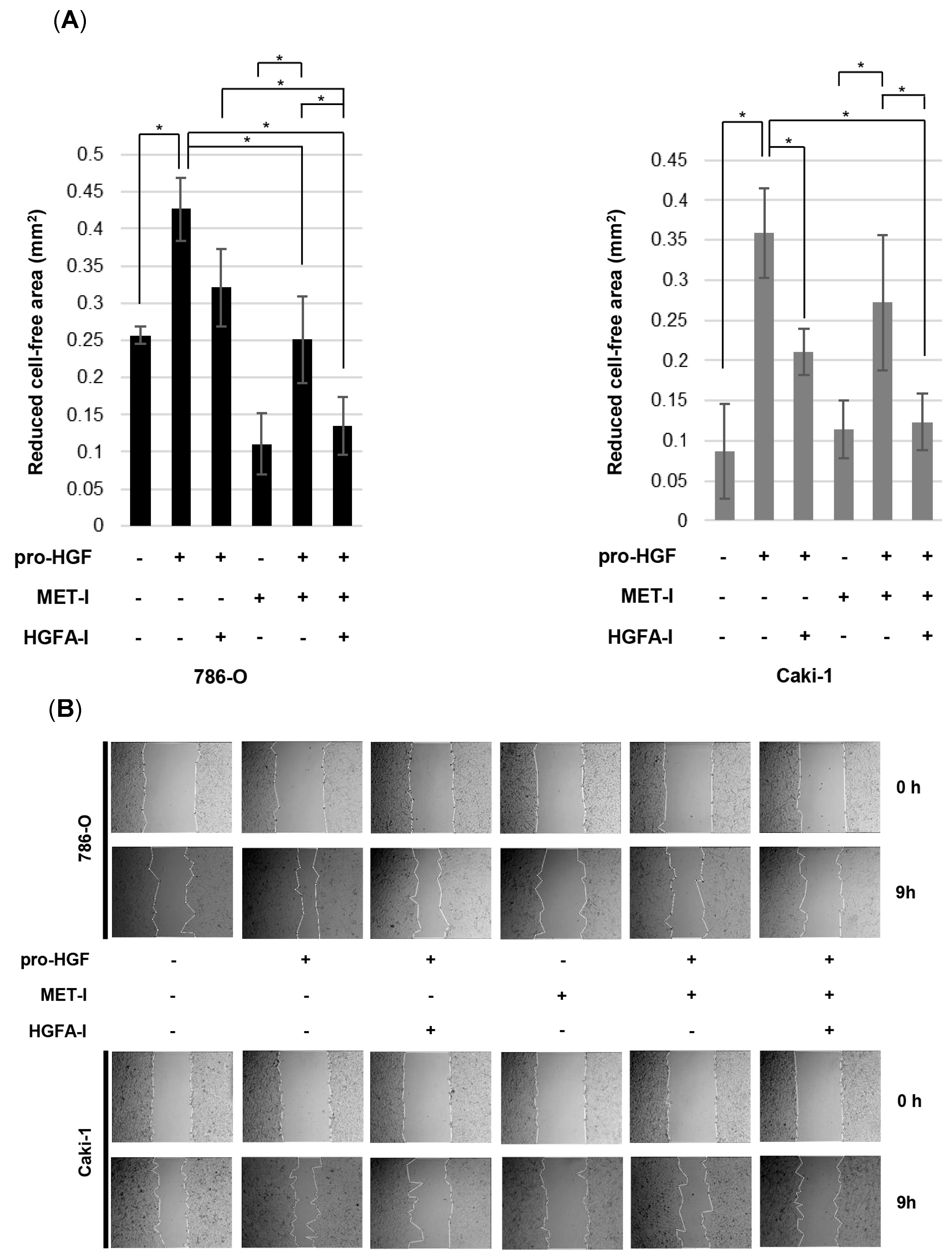 Biomedicines 13 00811 g005