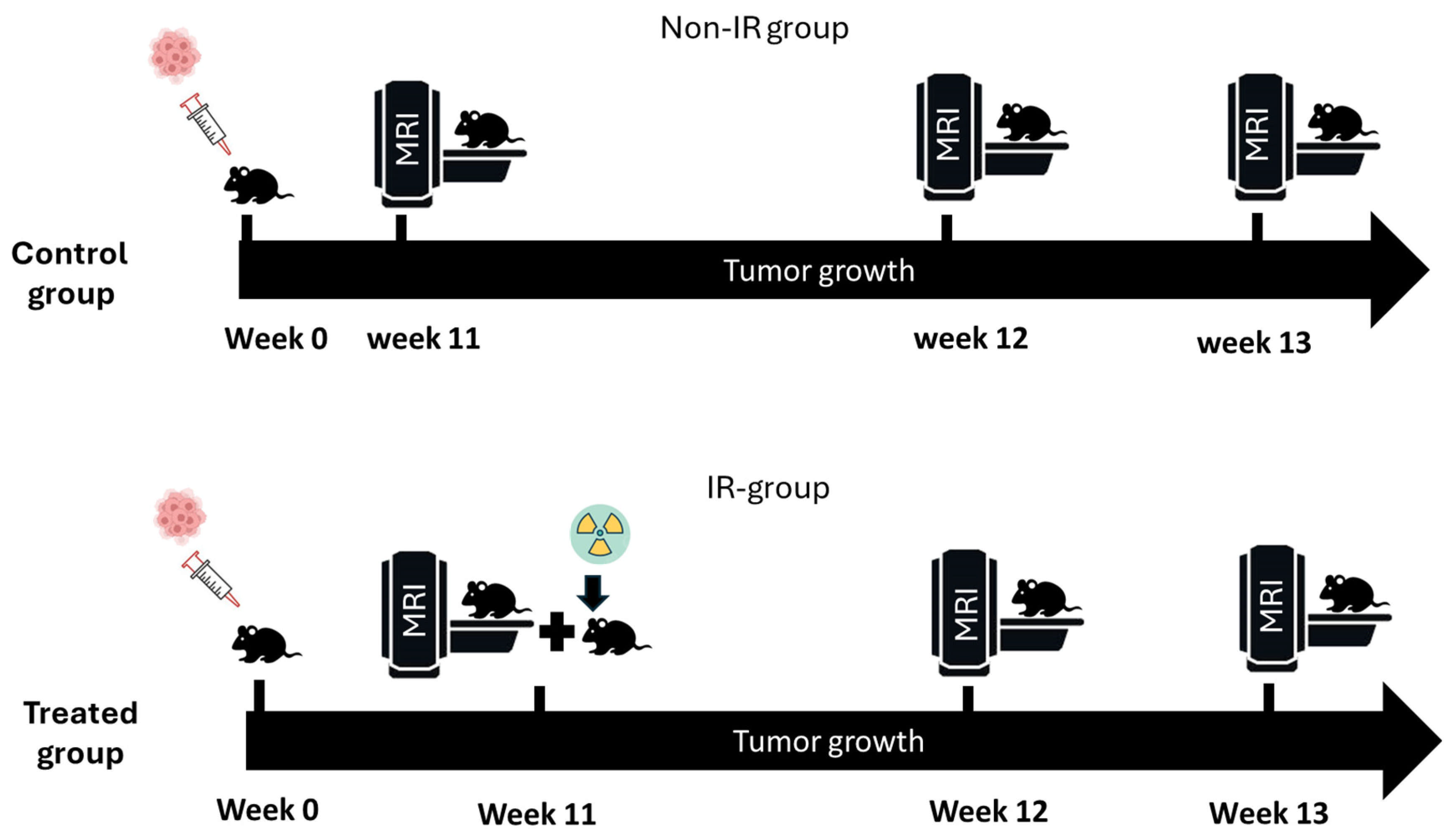 Biomedicines 13 00815 g001