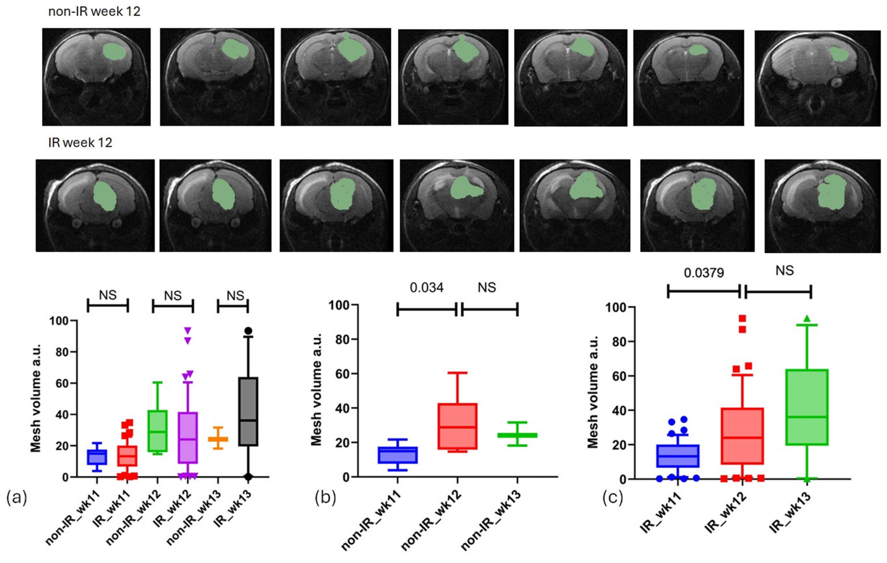 Biomedicines 13 00815 g003