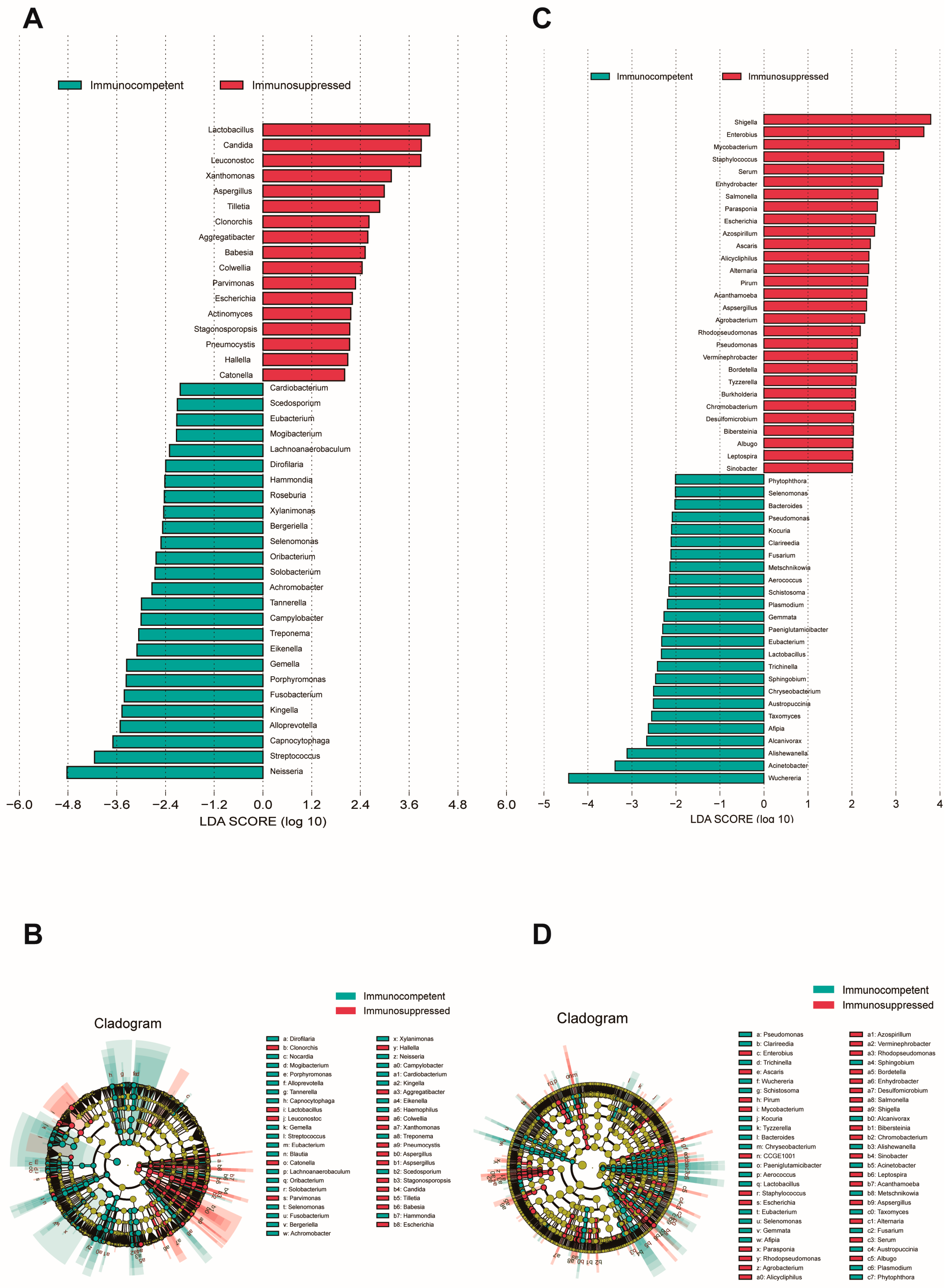 Biomedicines 13 00818 g002
