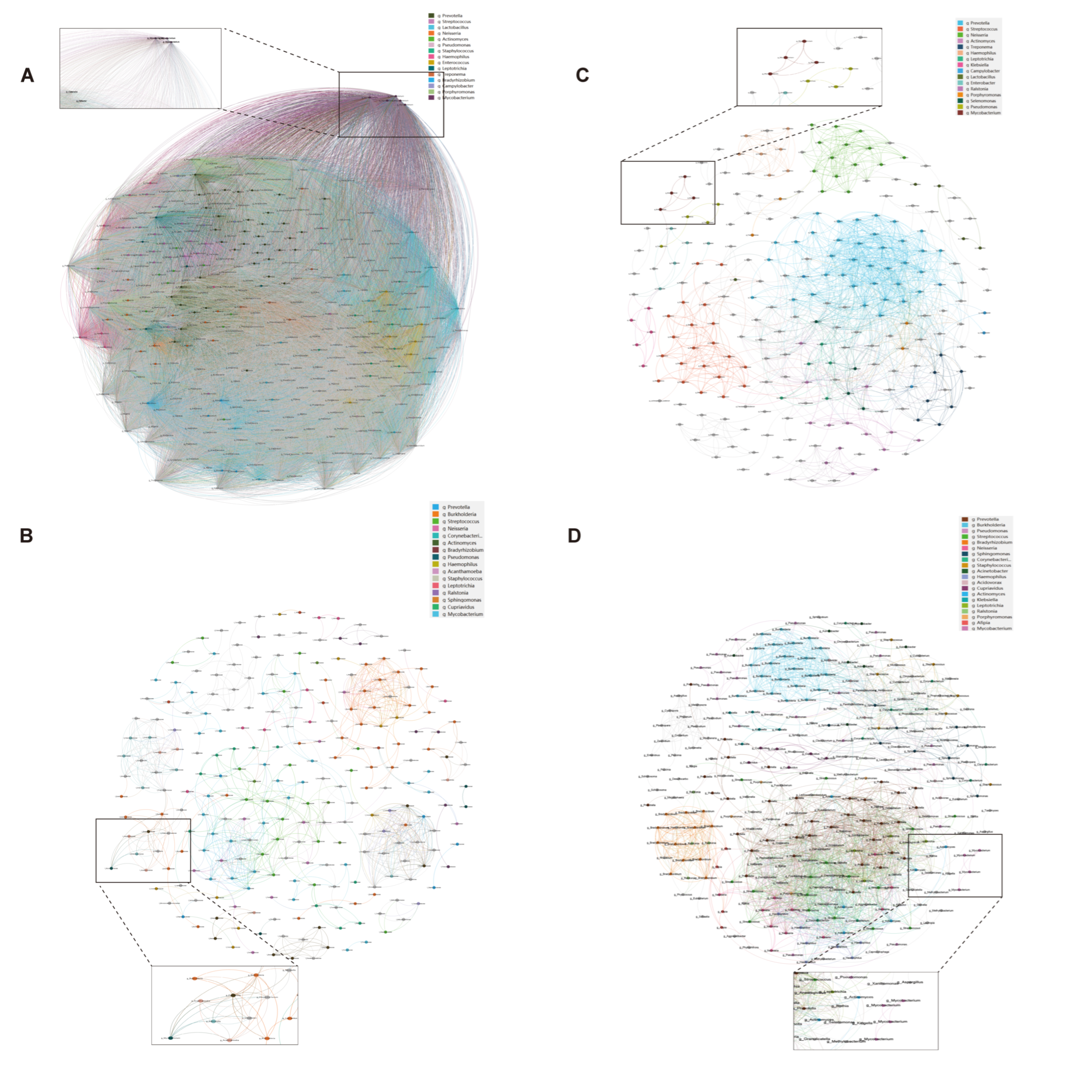 Biomedicines 13 00818 g003