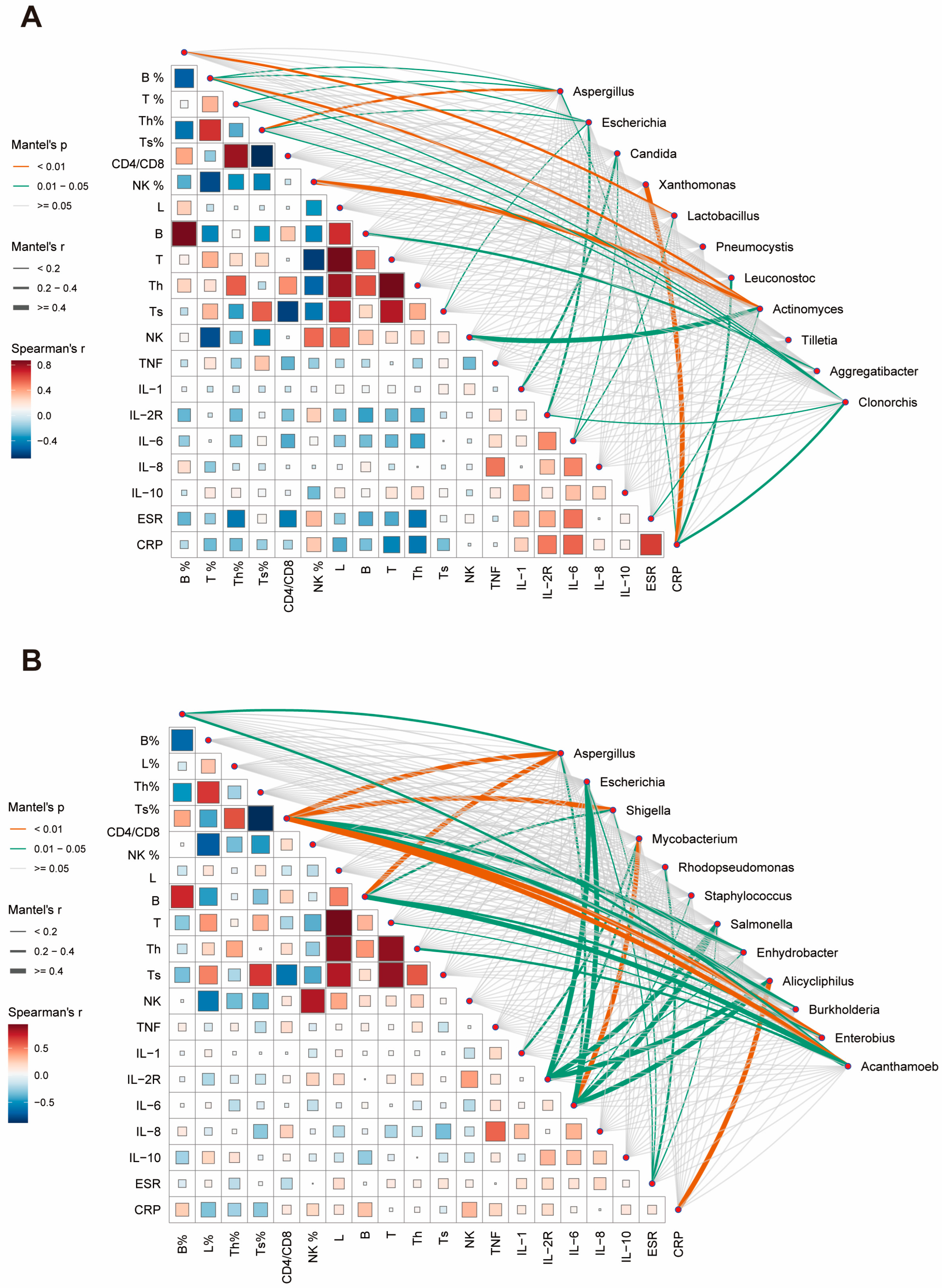 Biomedicines 13 00818 g004
