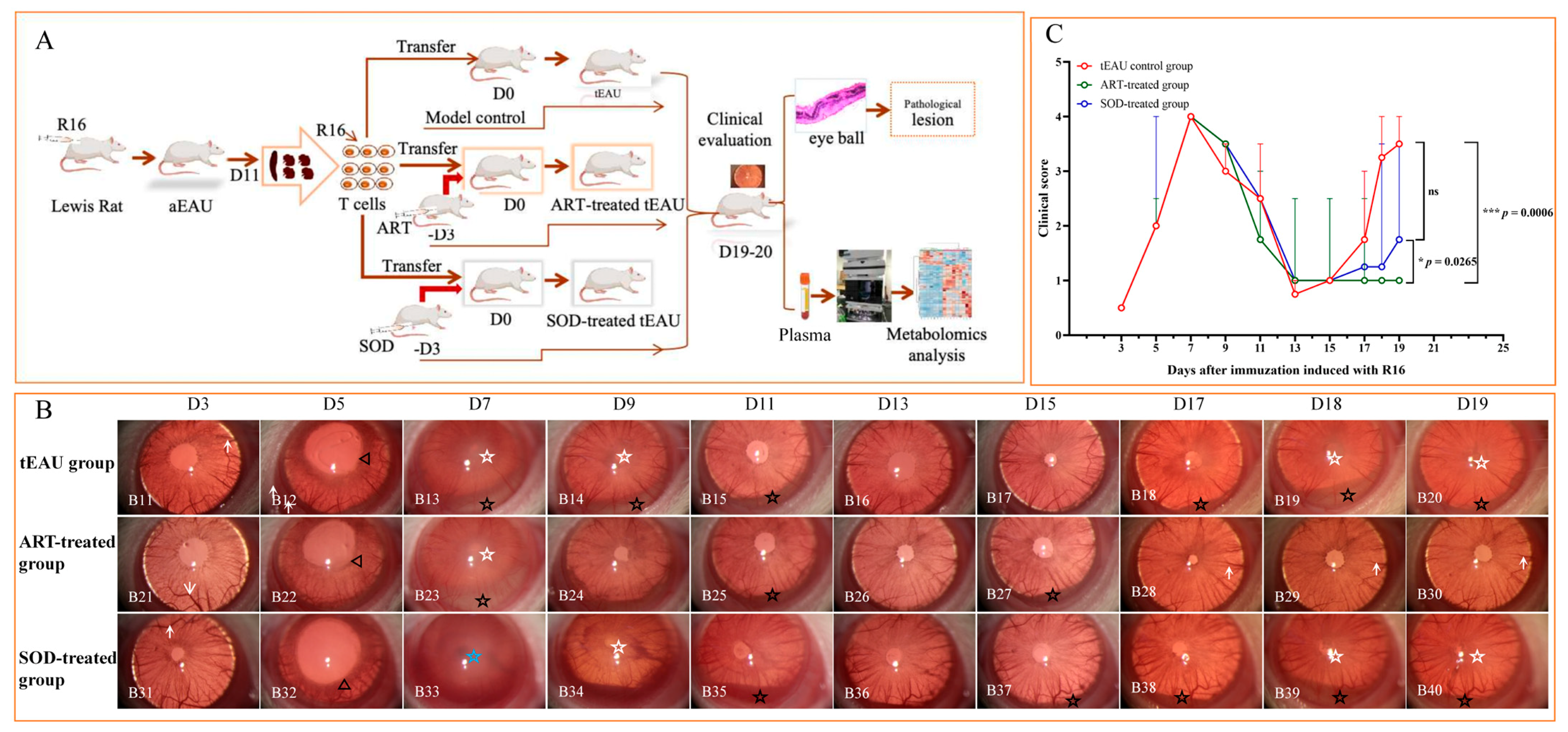 Biomedicines 13 00821 g001
