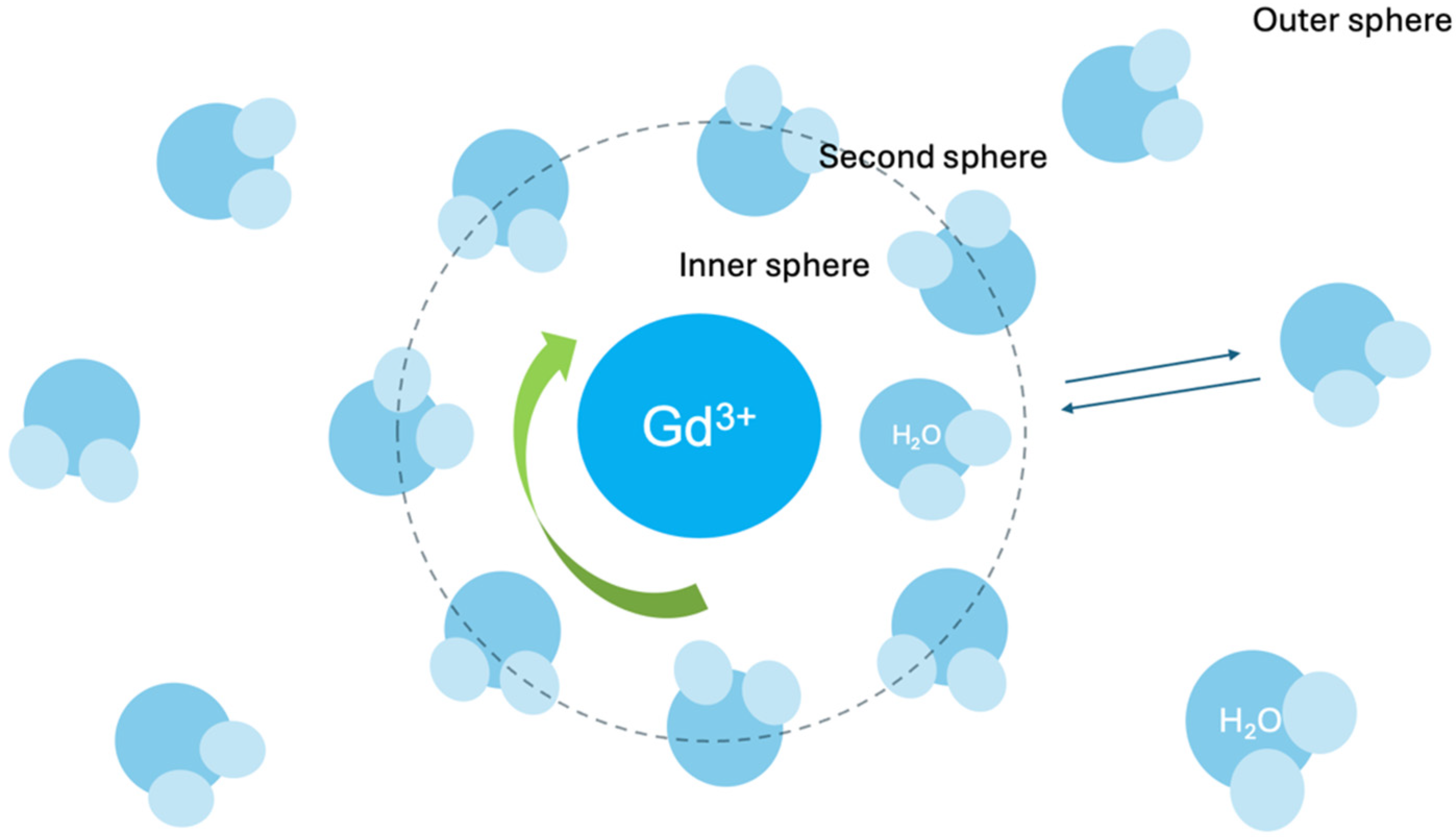 Biomedicines 13 00829 g001