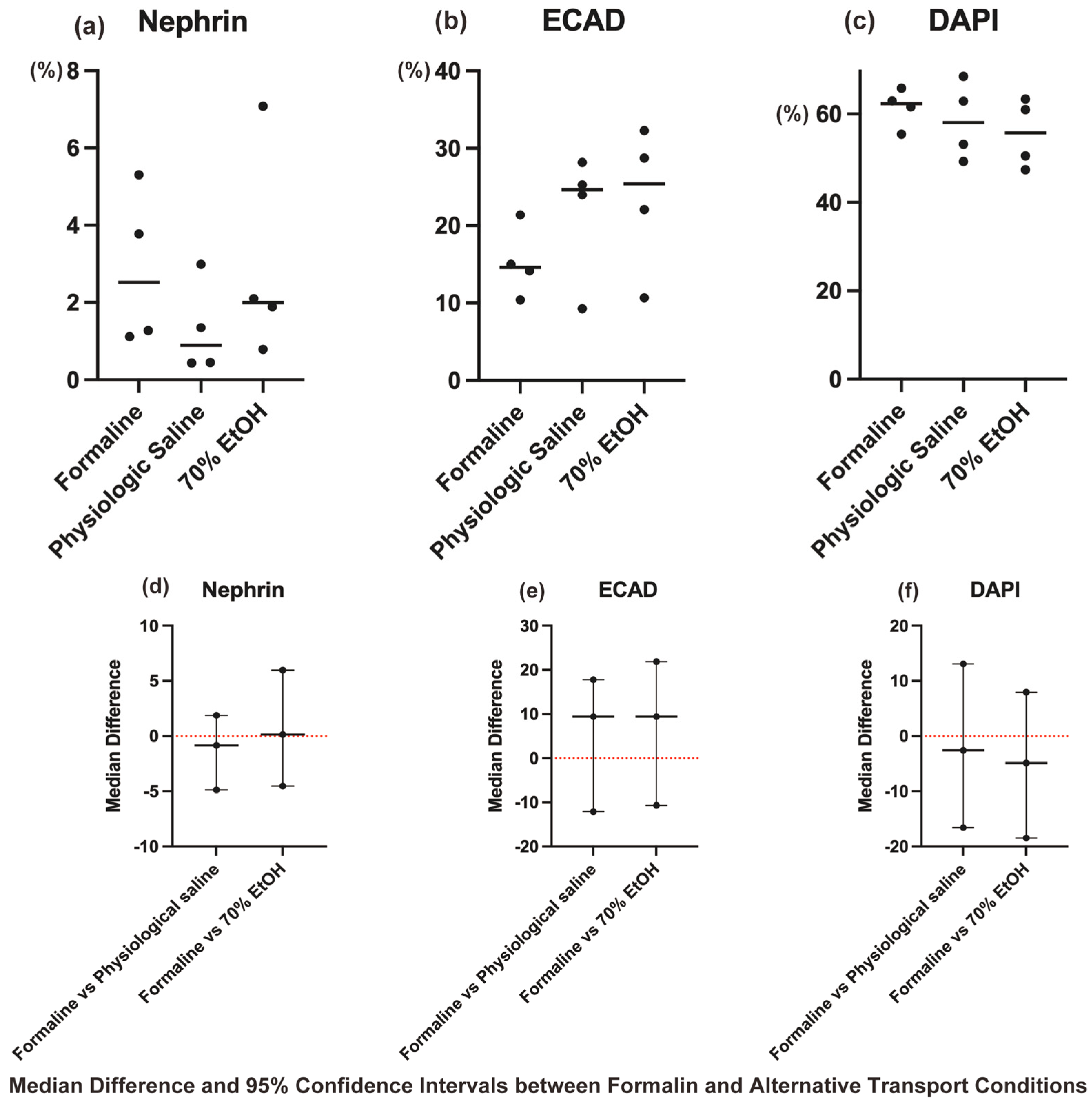 Biomedicines 13 00831 g004